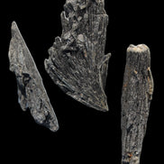 Black Tourmaline 3/4 feather crystal 18-19g Rocks and Things