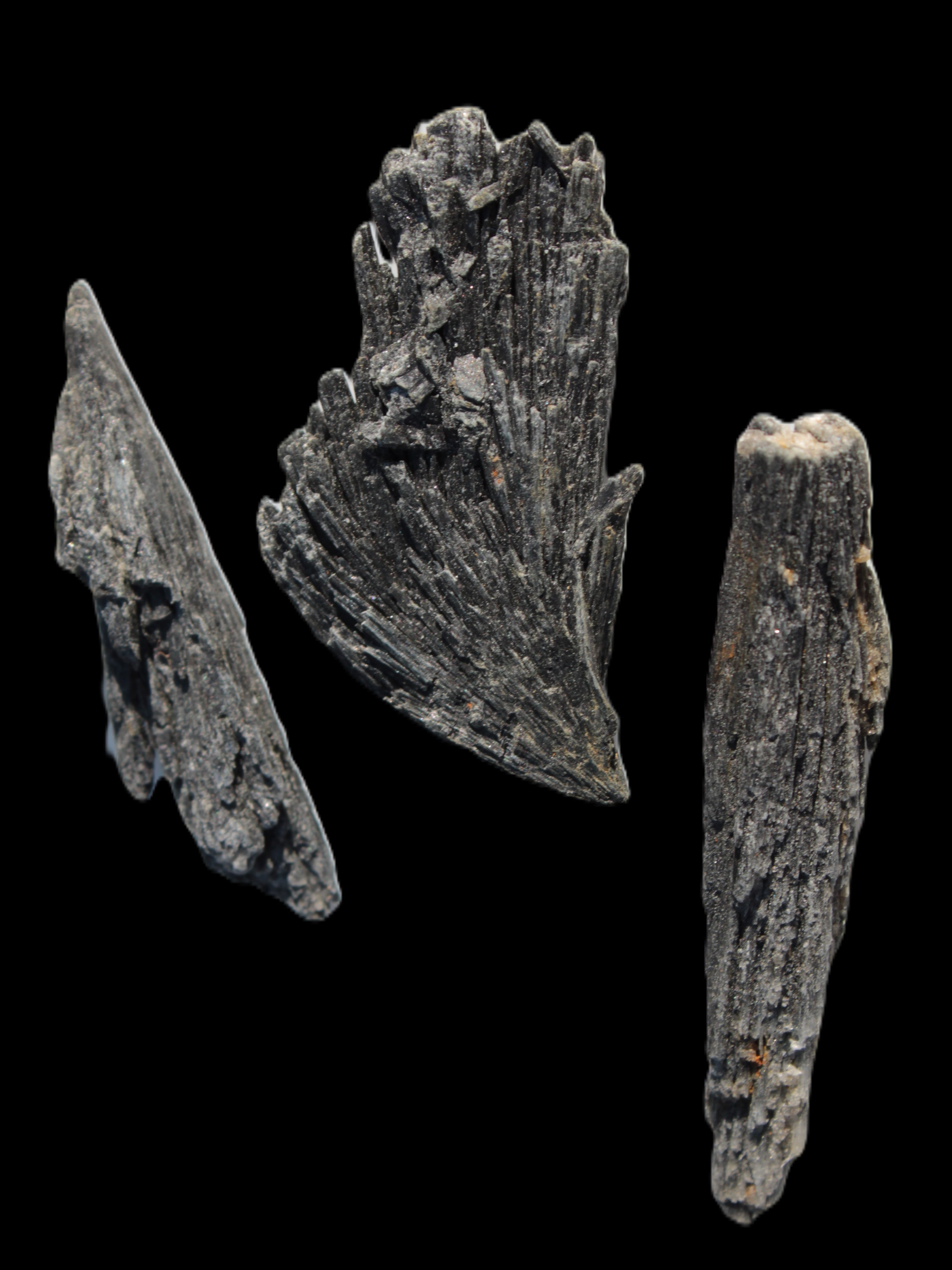 Black Tourmaline 3/4 feather crystal 18-19g Rocks and Things