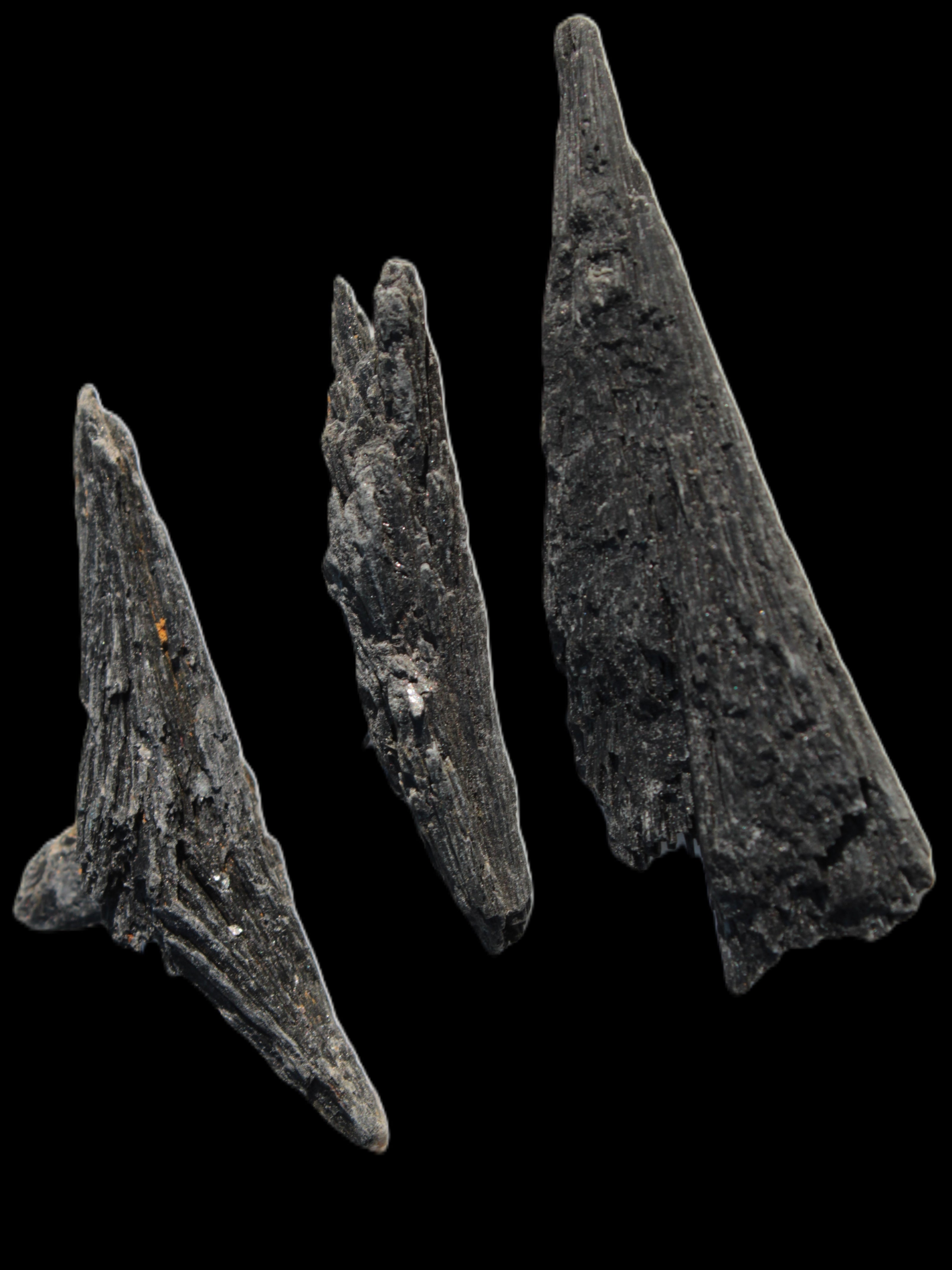 Black Tourmaline 3/4 feather crystal 18-19g Rocks and Things