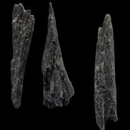 Black Tourmaline 3/4 feather crystal 18-19g Rocks and Things