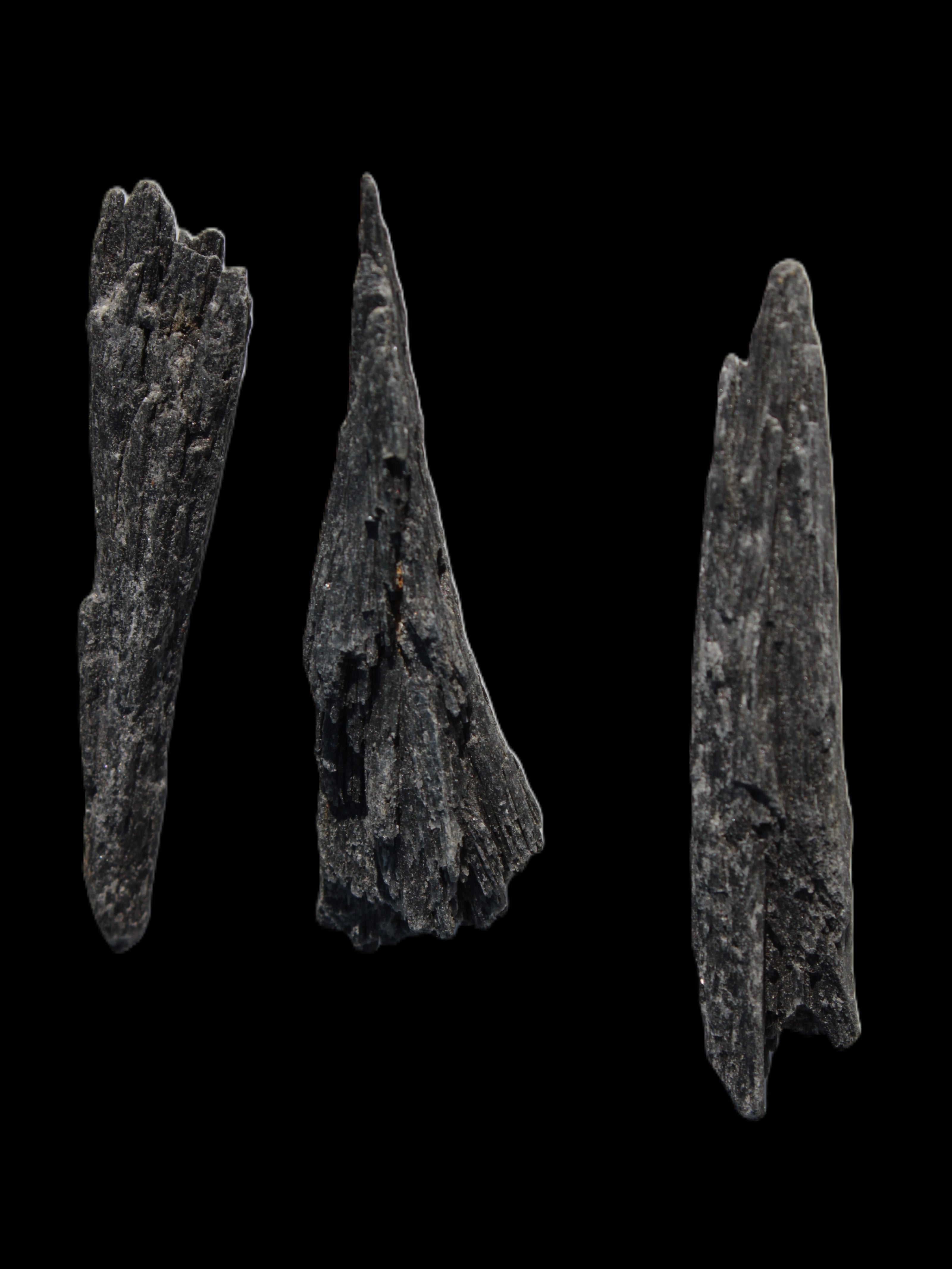 Black Tourmaline 3/4 feather crystal 18-19g Rocks and Things