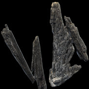 Black Tourmaline 3/4 feather crystal 18-19g Rocks and Things