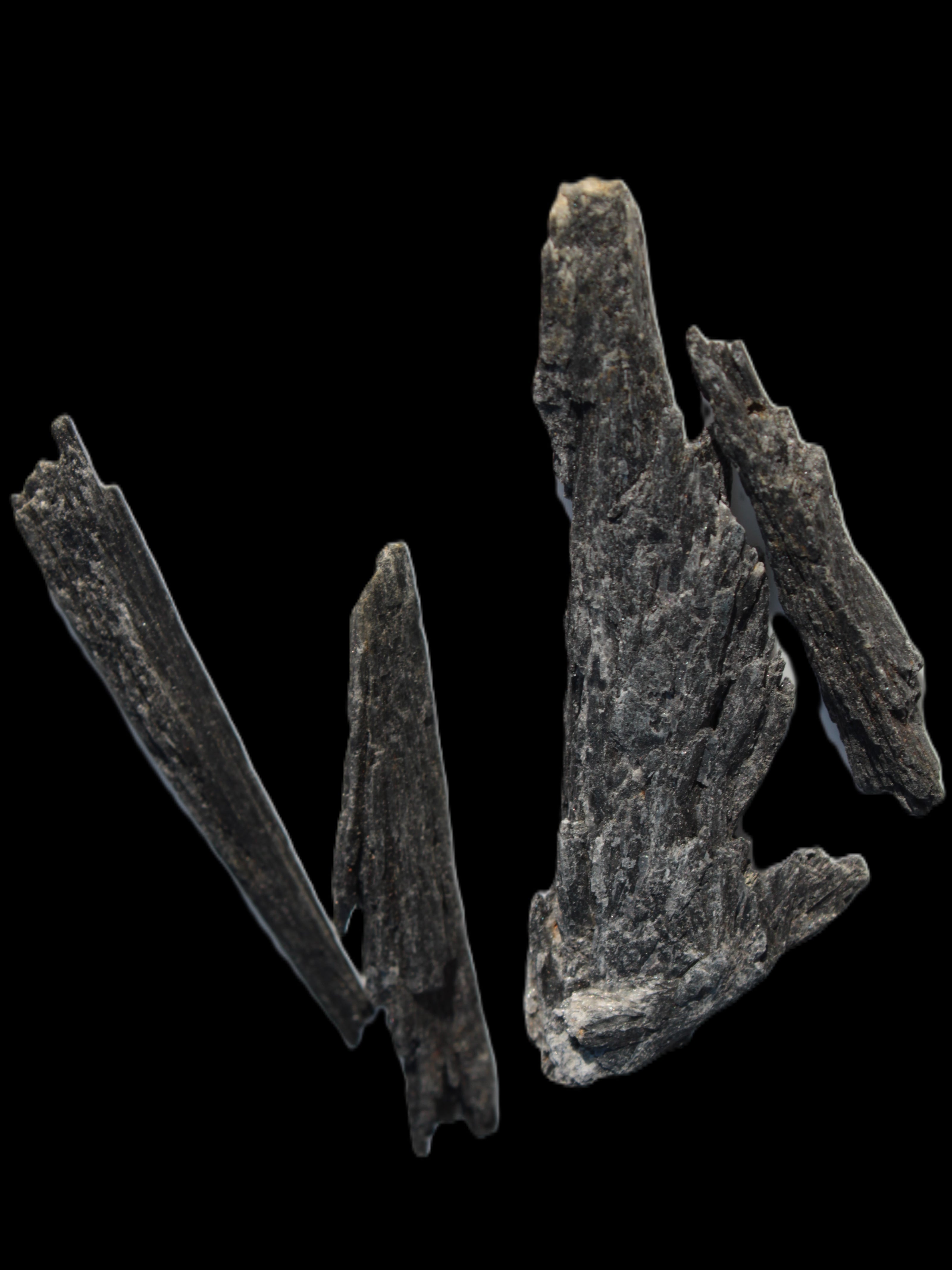 Black Tourmaline 3/4 feather crystal 18-19g Rocks and Things