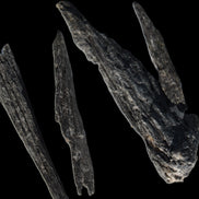 Black Tourmaline 3/4 feather crystal 18-19g Rocks and Things