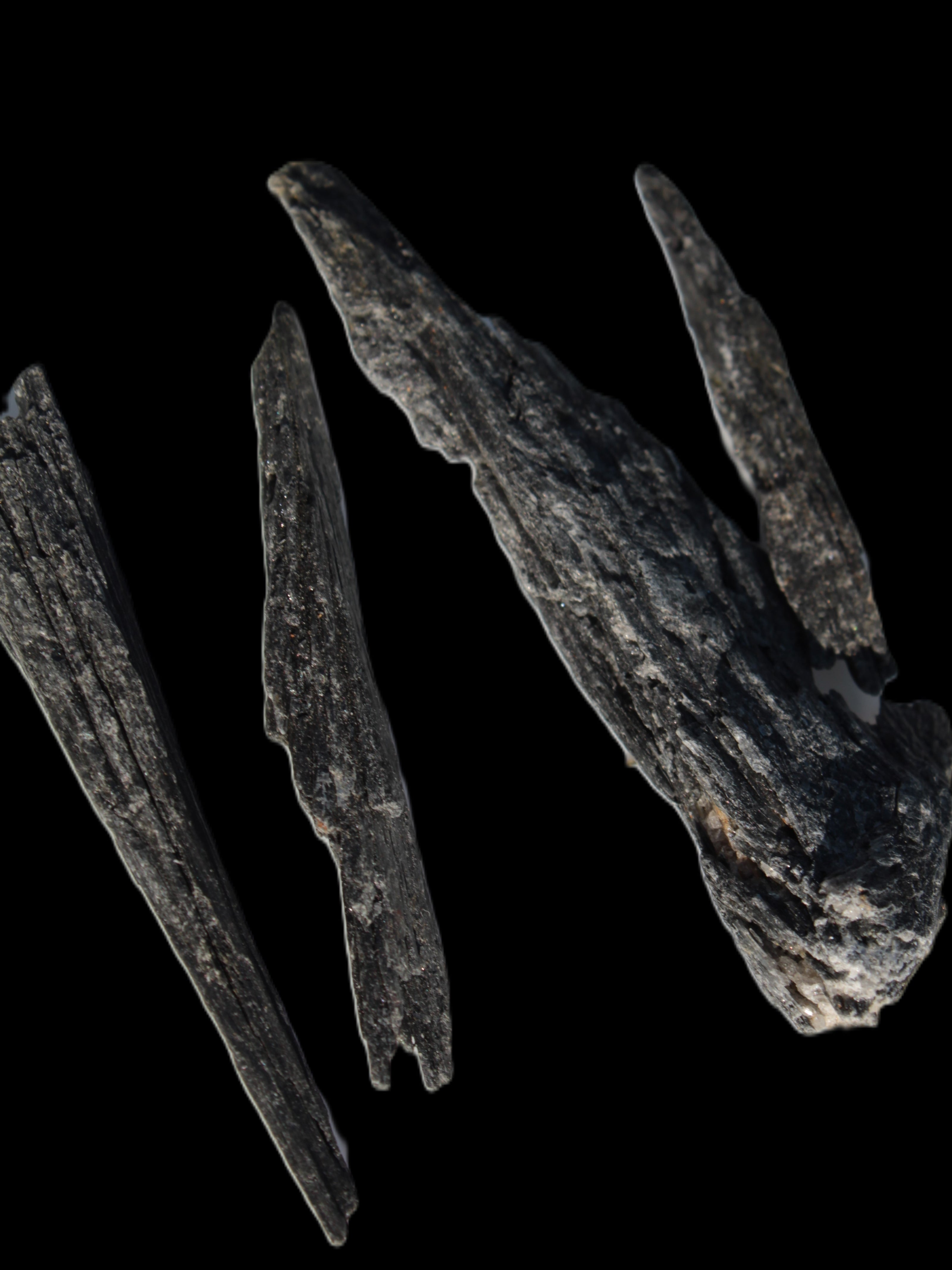 Black Tourmaline 3/4 feather crystal 18-19g Rocks and Things