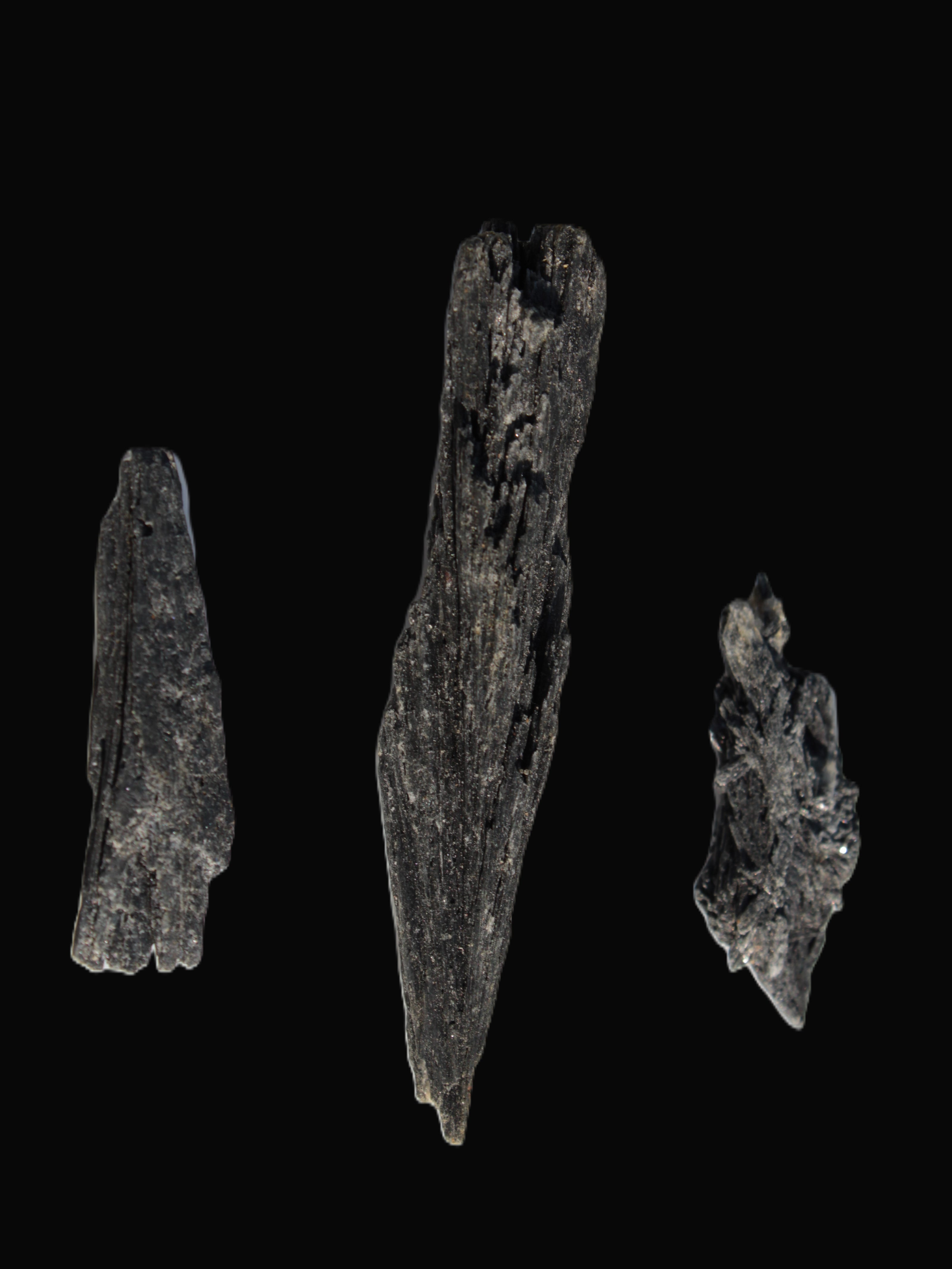 Black Tourmaline 3/4 feather crystal 18-19g Rocks and Things