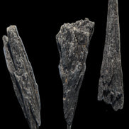 Black Tourmaline 3/4 feather crystal 18-19g Rocks and Things