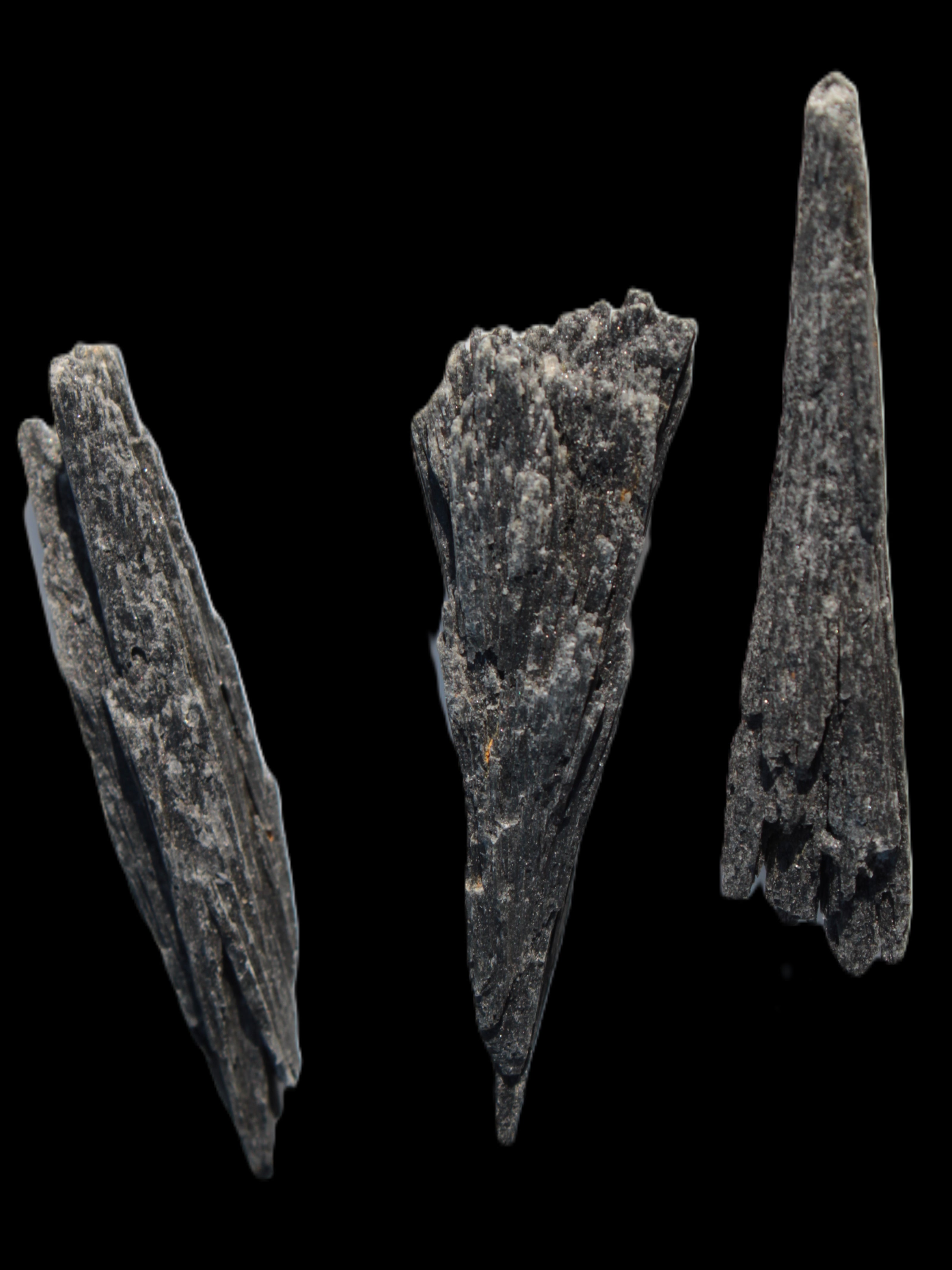 Black Tourmaline 3/4 feather crystal 18-19g Rocks and Things