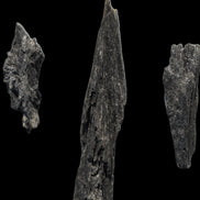 Black Tourmaline 3/4 feather crystal 18-19g Rocks and Things