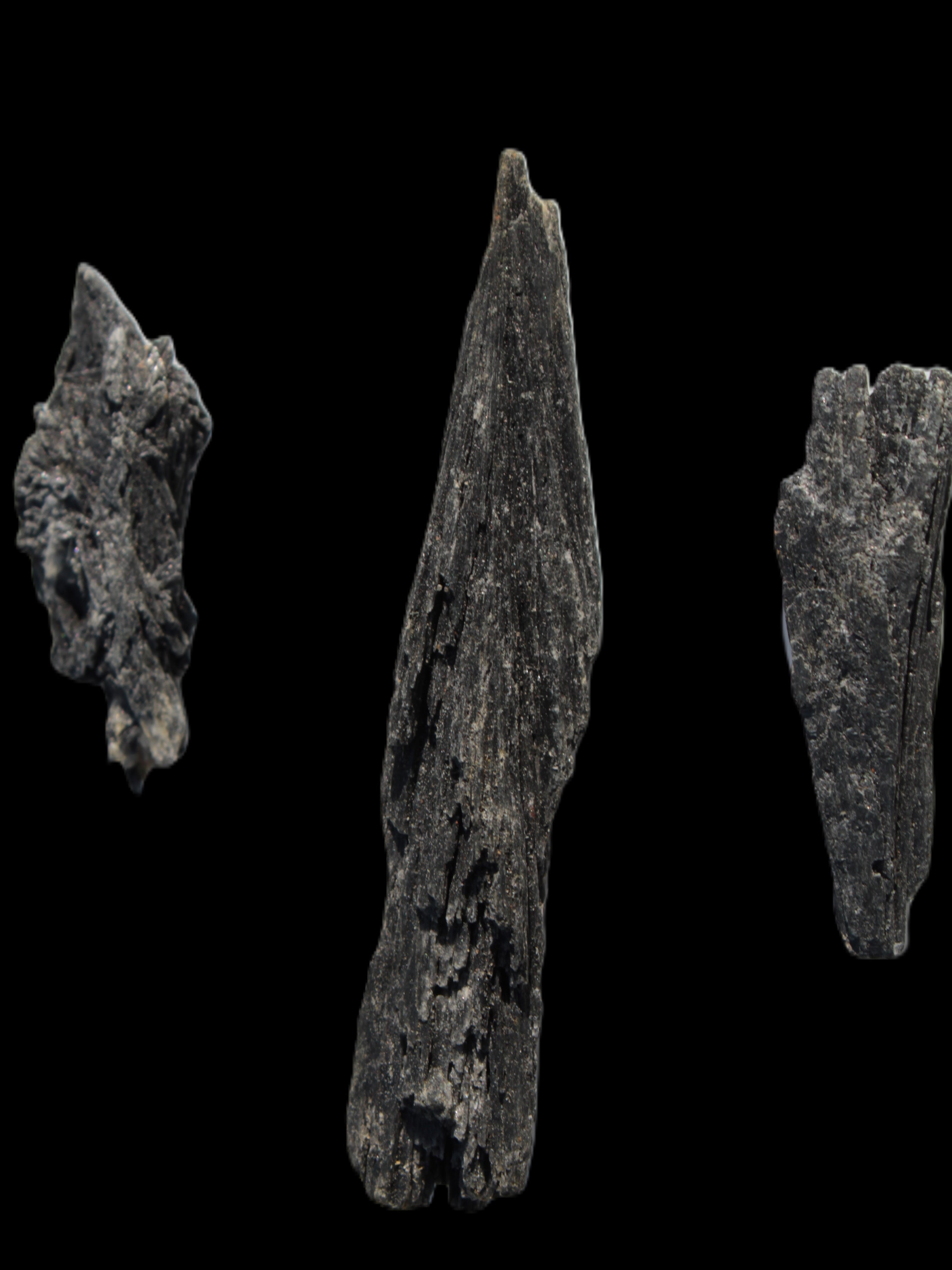 Black Tourmaline 3/4 feather crystal 18-19g Rocks and Things