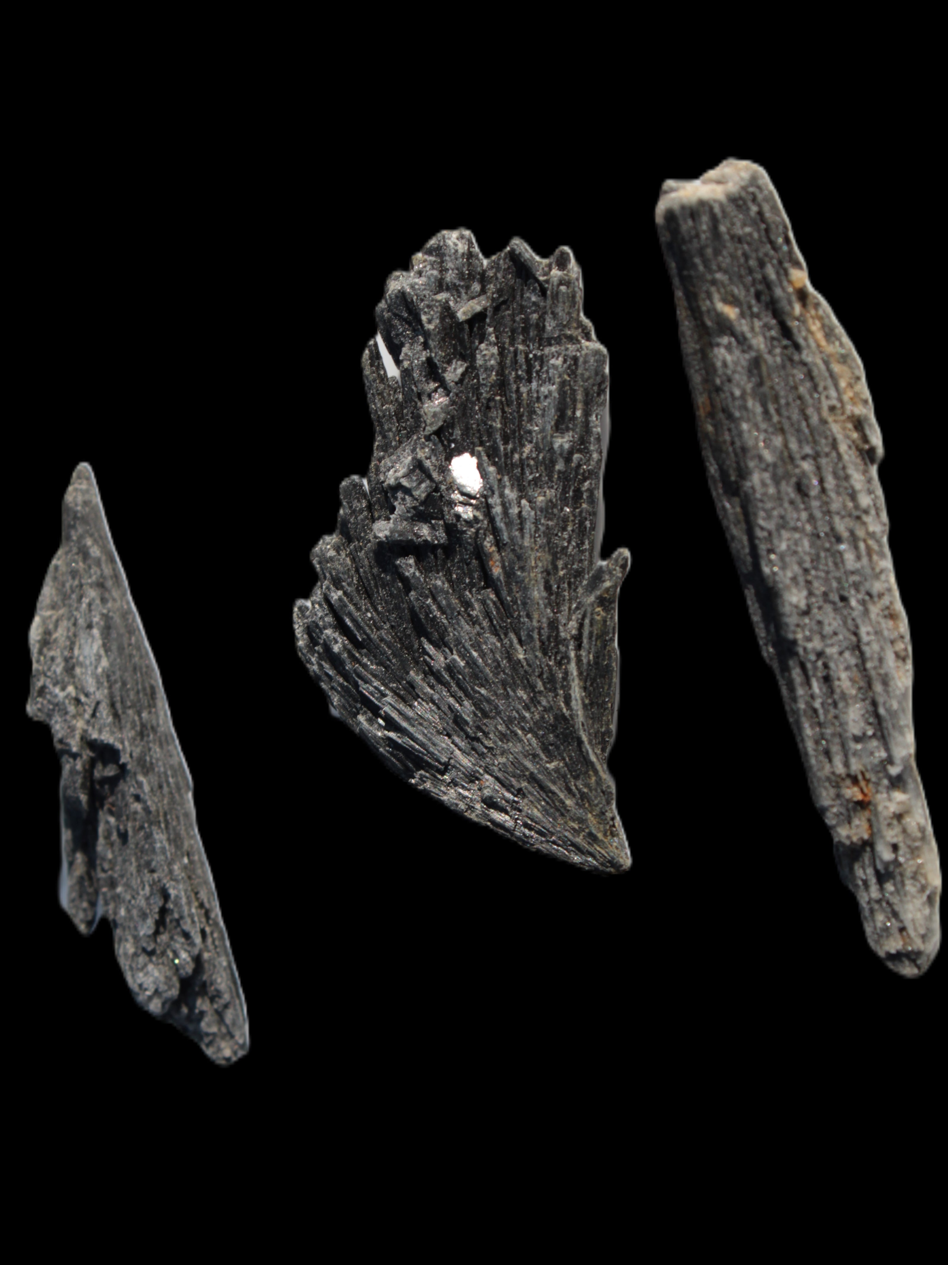 Black Tourmaline 3/4 feather crystal 18-19g Rocks and Things