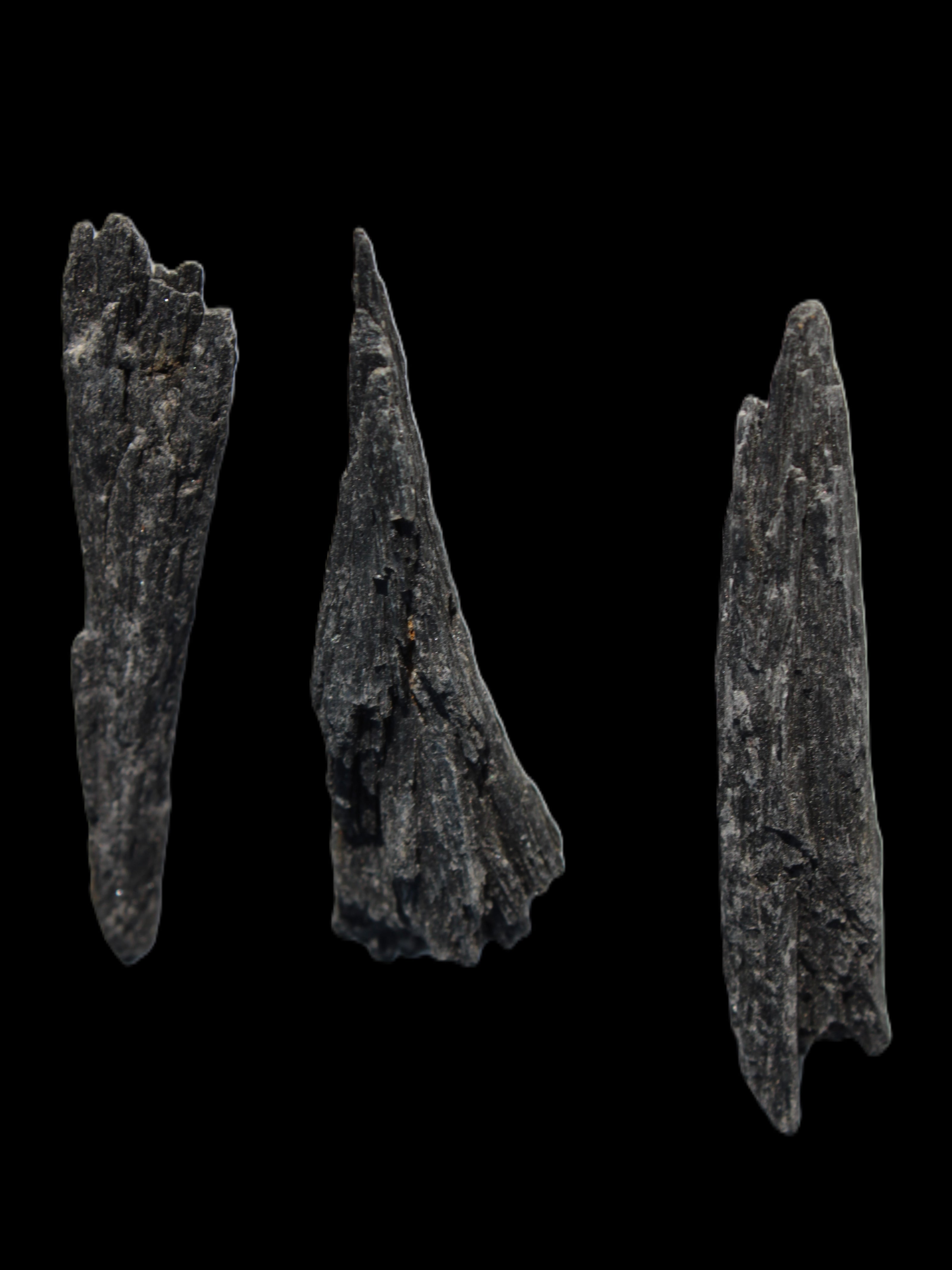 Black Tourmaline 3/4 feather crystal 18-19g Rocks and Things