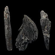 Black Tourmaline 3/4 feather crystal 18-19g Rocks and Things