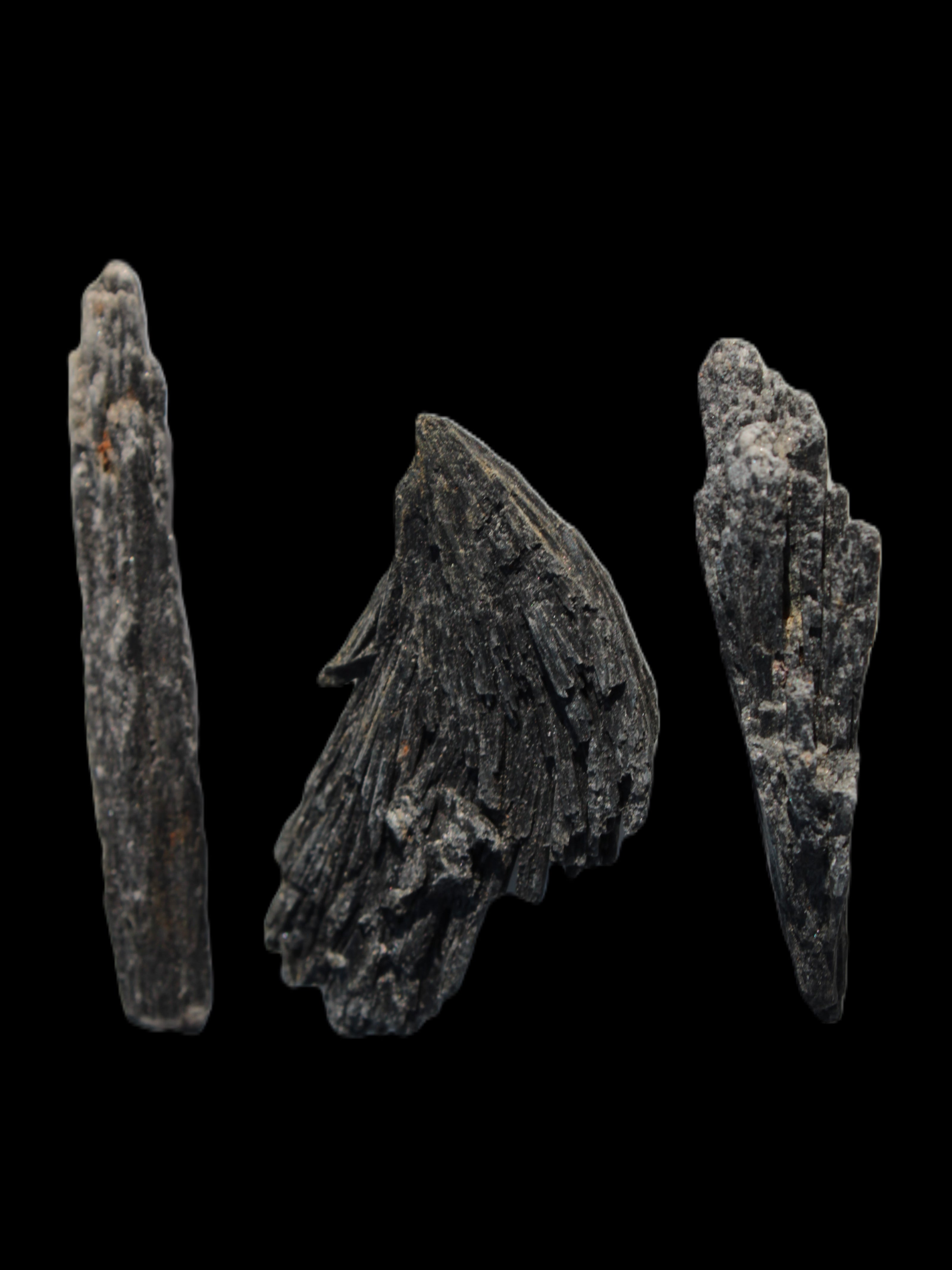 Black Tourmaline 3/4 feather crystal 18-19g Rocks and Things