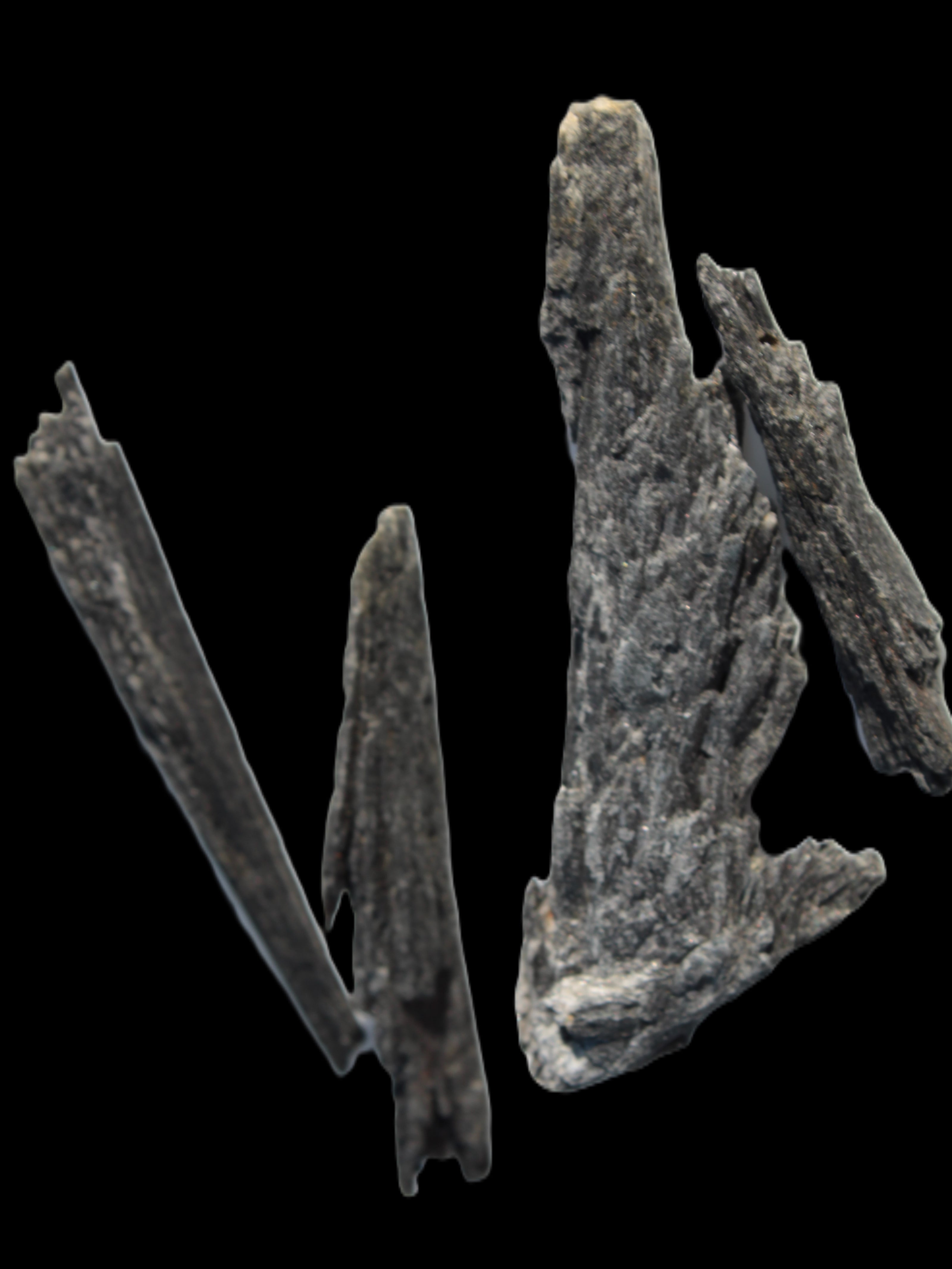 Black Tourmaline 3/4 feather crystal 18-19g Rocks and Things