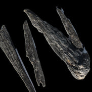 Black Tourmaline 3/4 feather crystal 18-19g Rocks and Things