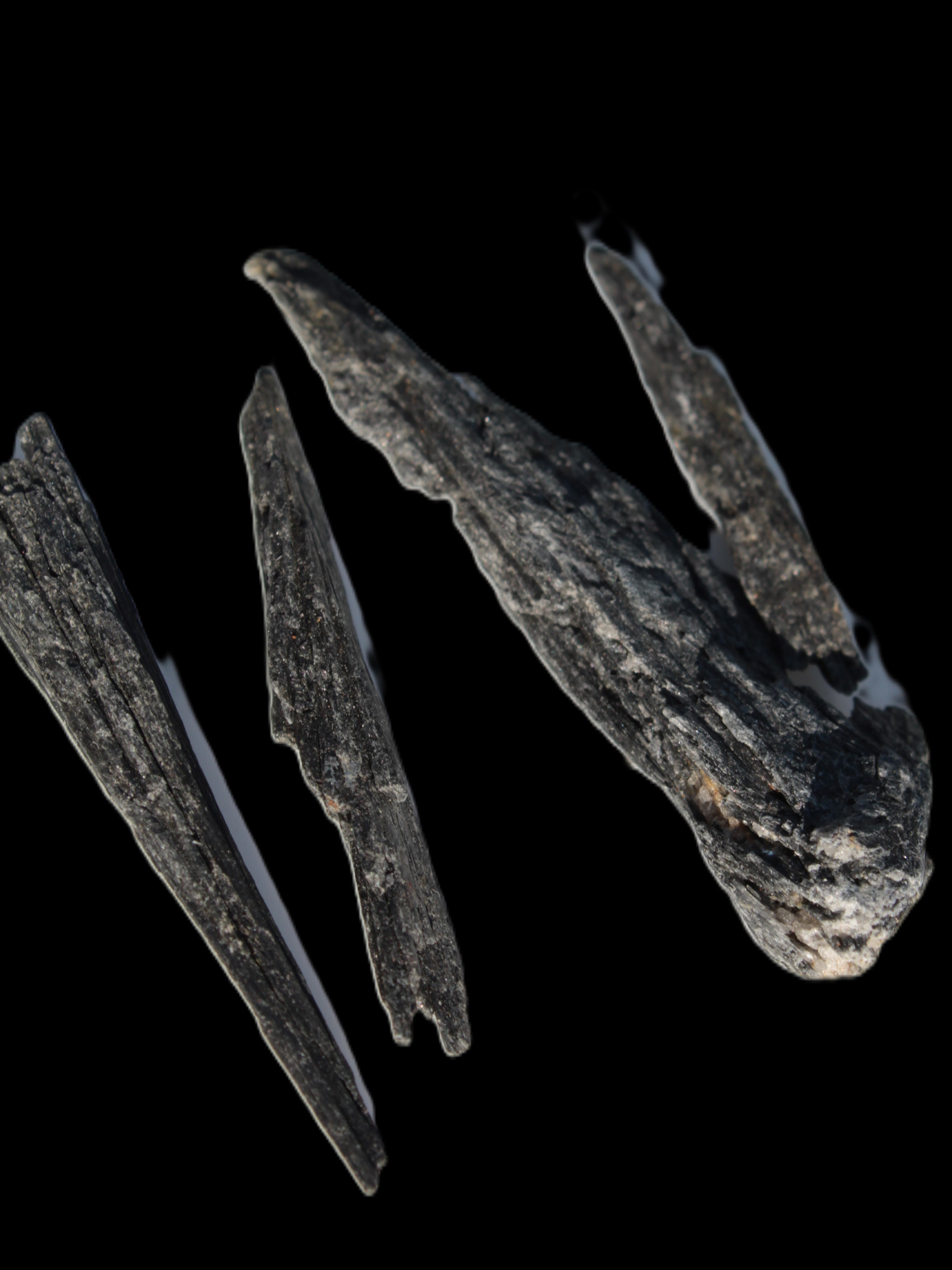 Black Tourmaline 3/4 feather crystal 18-19g Rocks and Things