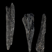 Black Tourmaline 3/4 feather crystal 18-19g Rocks and Things