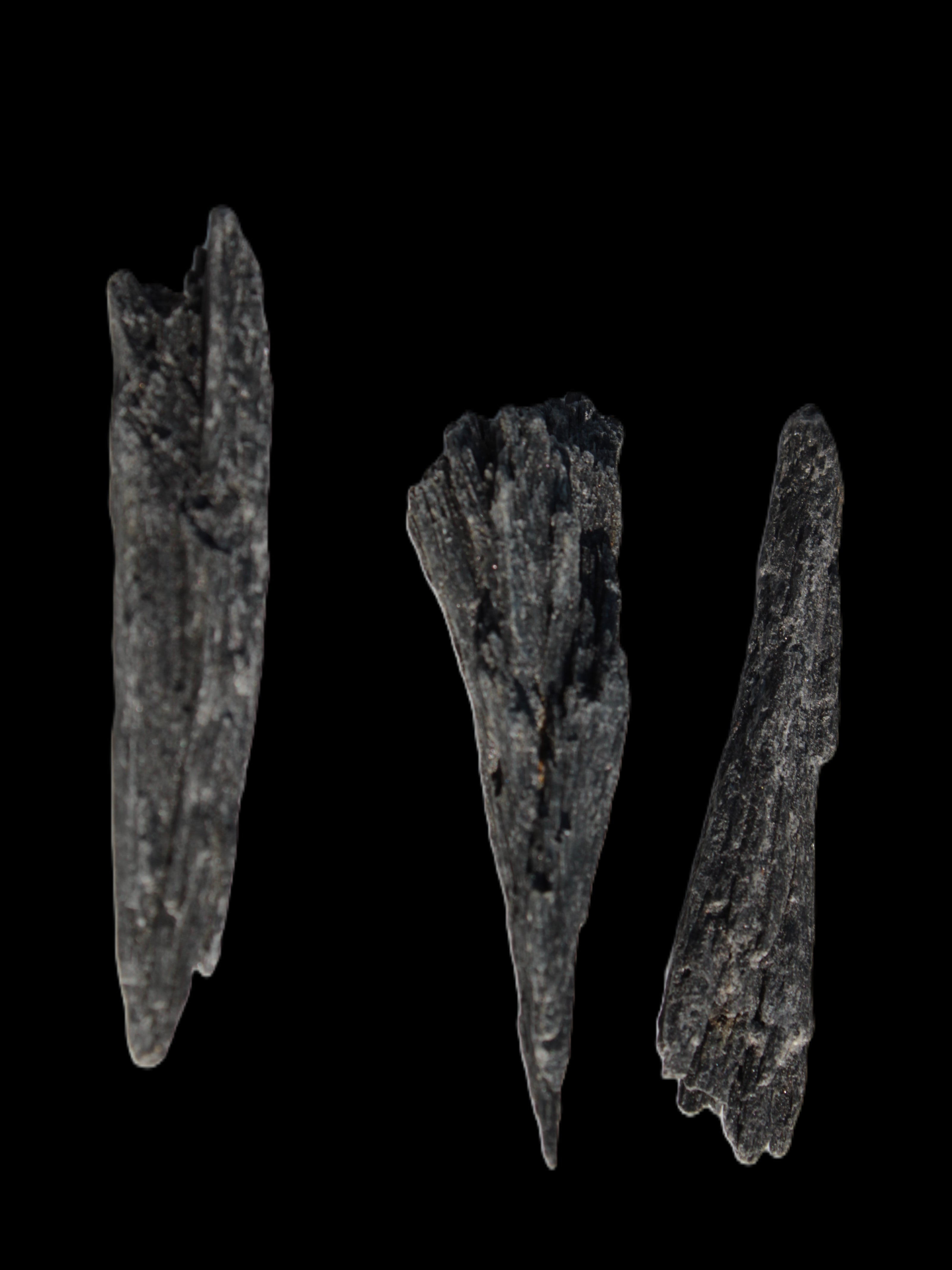 Black Tourmaline 3/4 feather crystal 18-19g Rocks and Things