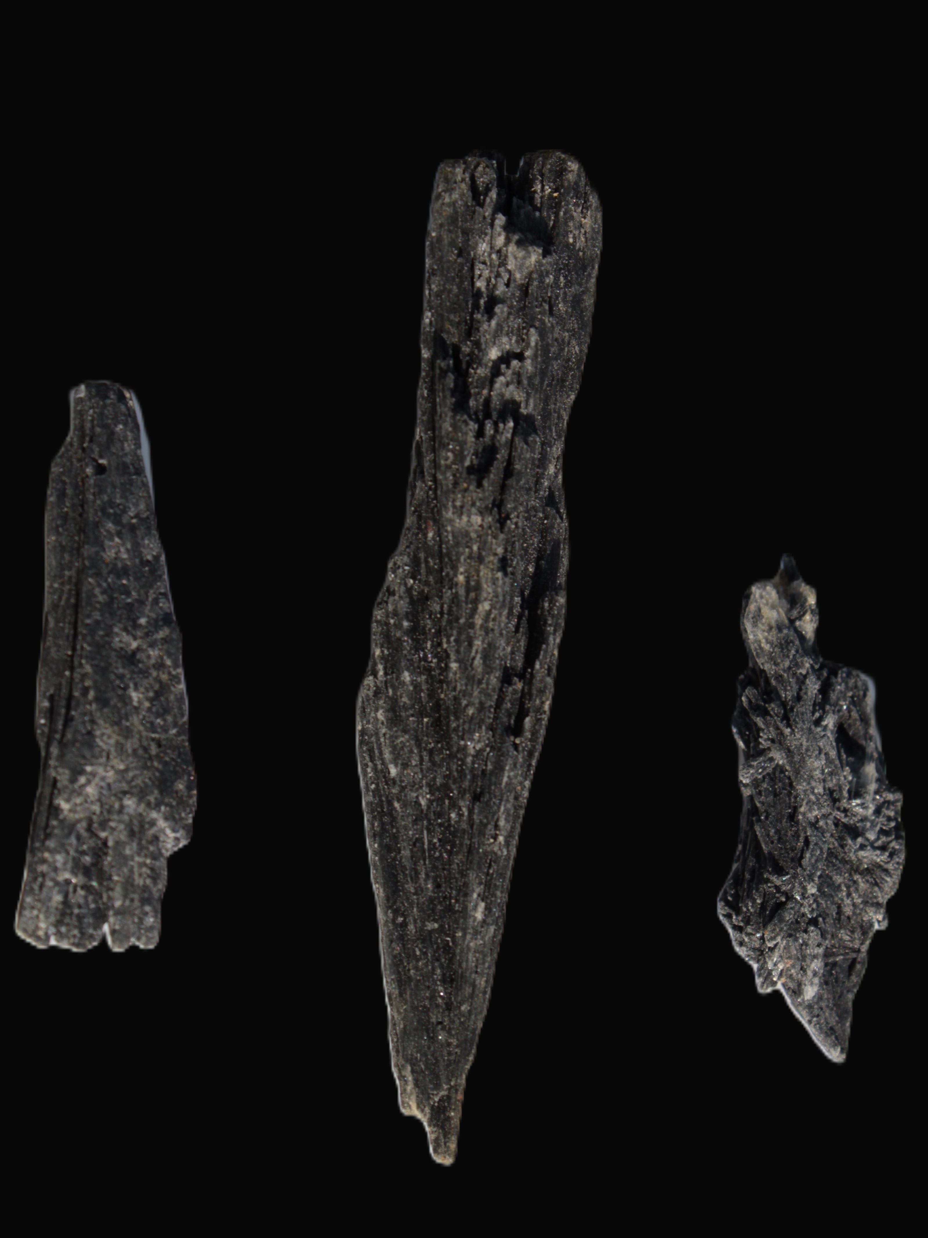 Black Tourmaline 3/4 feather crystal 18-19g Rocks and Things