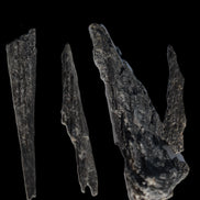 Black Tourmaline 3/4 feather crystal 18-19g Rocks and Things