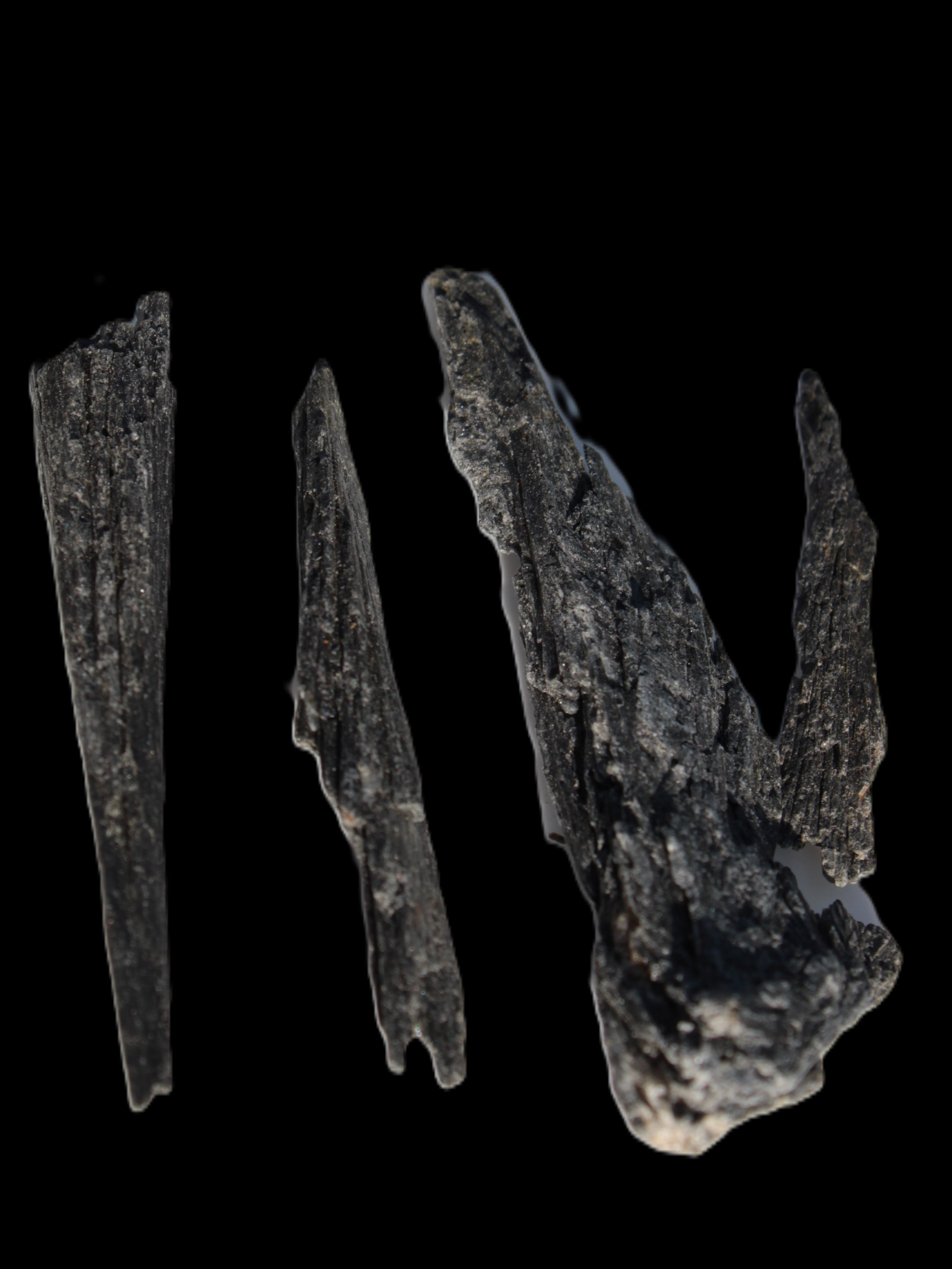 Black Tourmaline 3/4 feather crystal 18-19g Rocks and Things