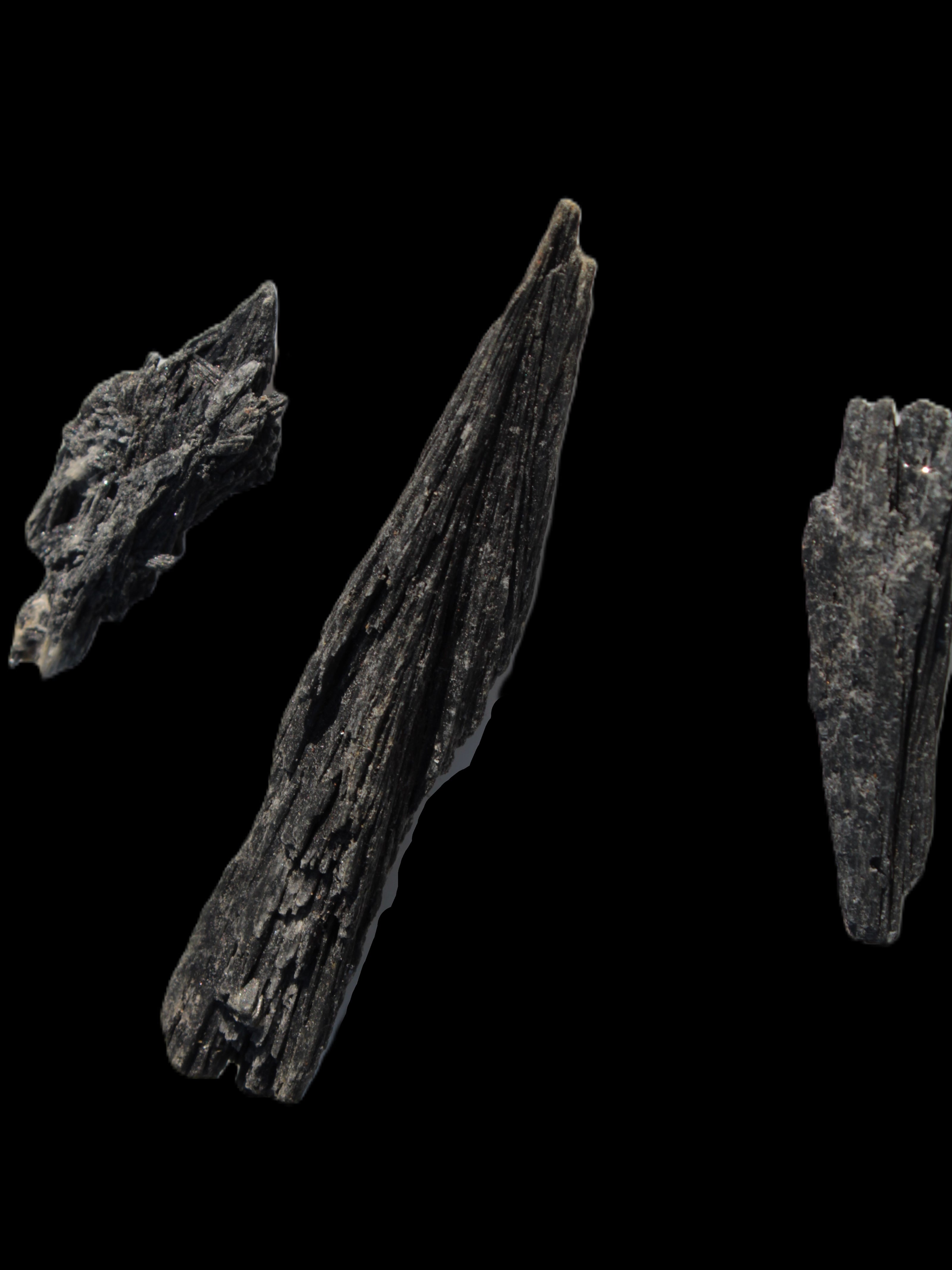 Black Tourmaline 3/4 feather crystal 18-19g Rocks and Things