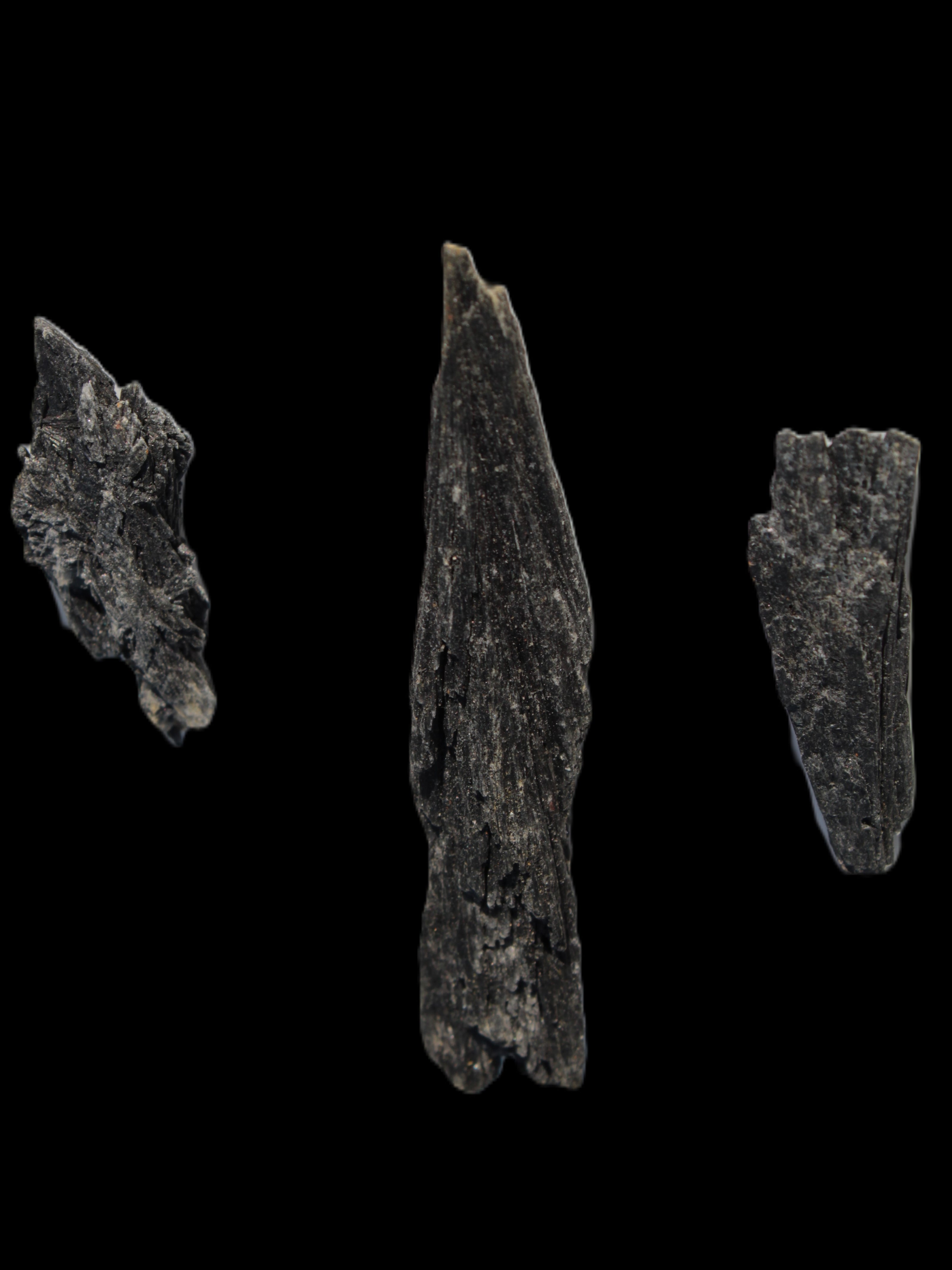 Black Tourmaline 3/4 feather crystal 18-19g Rocks and Things