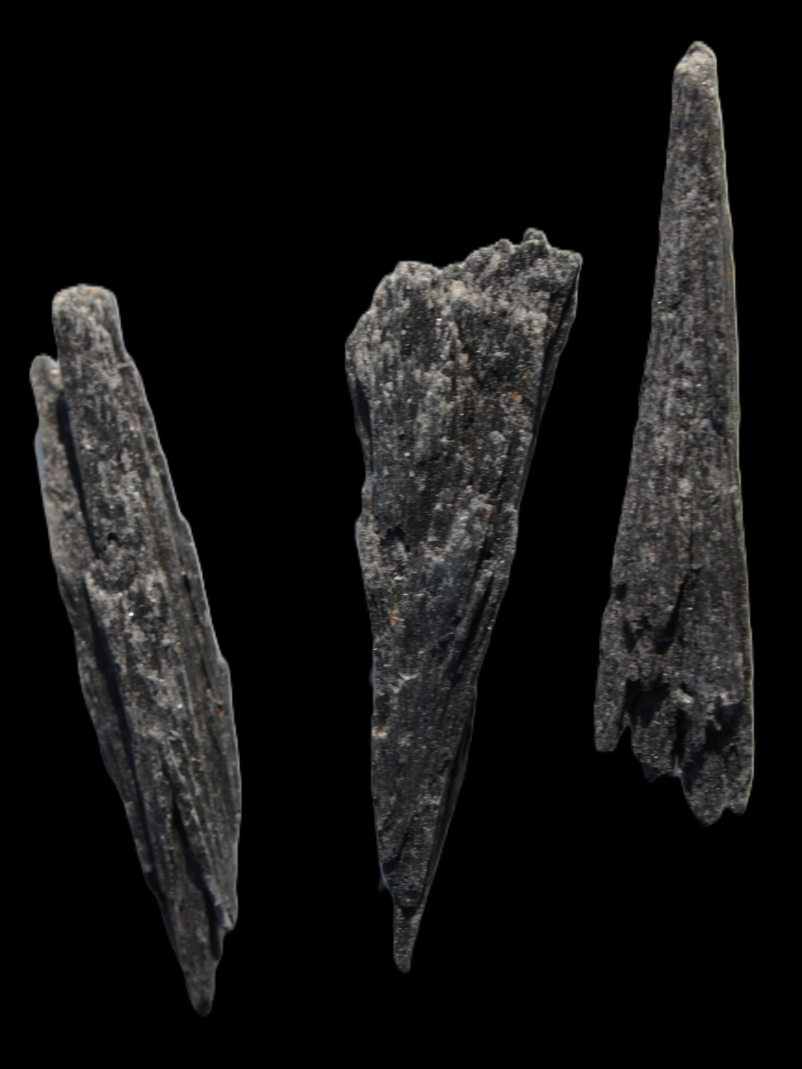 Black Tourmaline 3/4 feather crystal 18-19g Rocks and Things