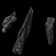 Black Tourmaline 3/4 feather crystal 18-19g Rocks and Things