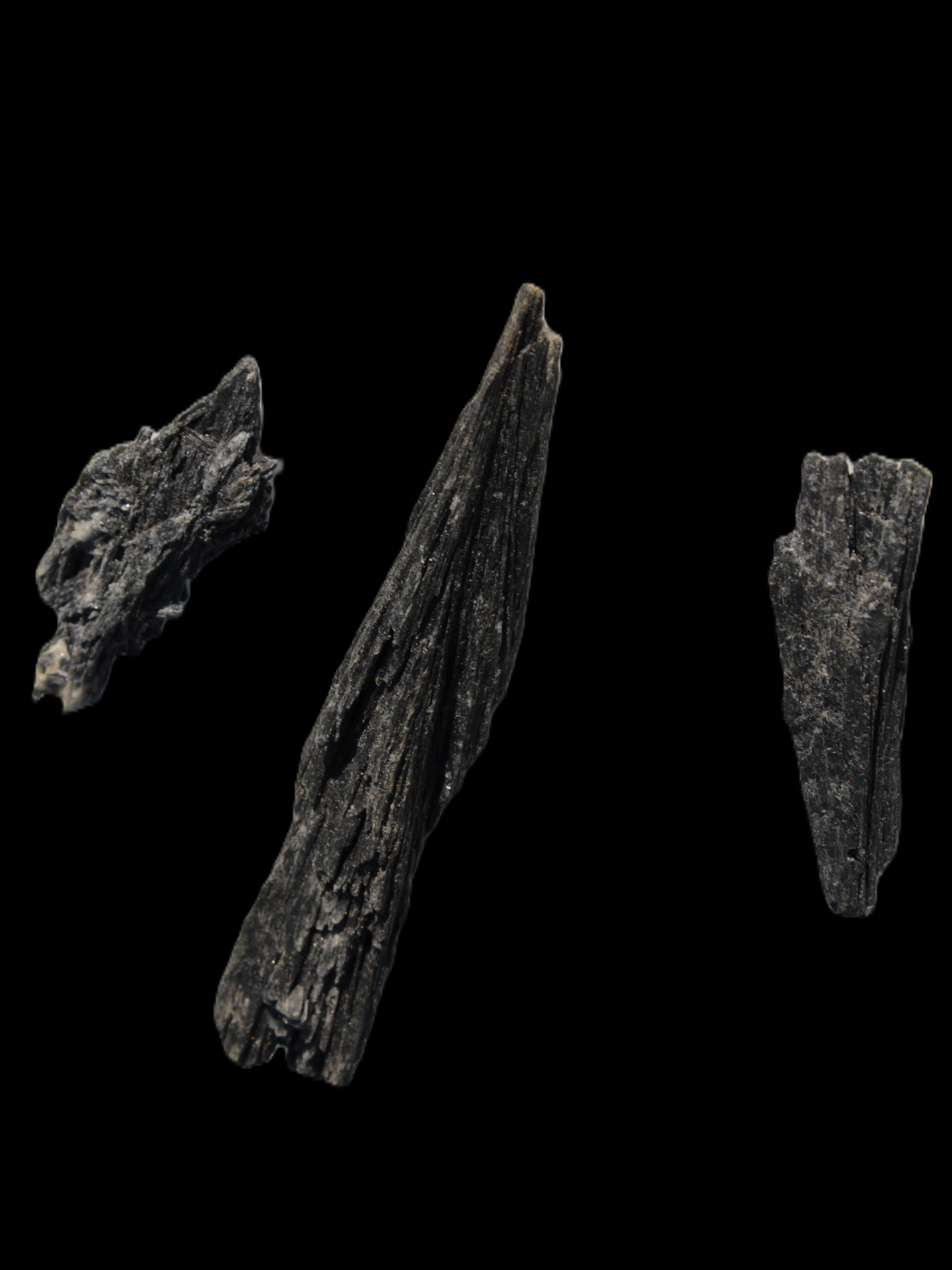 Black Tourmaline 3/4 feather crystal 18-19g Rocks and Things