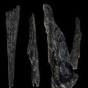 Black Tourmaline 3/4 feather crystal 18-19g Rocks and Things