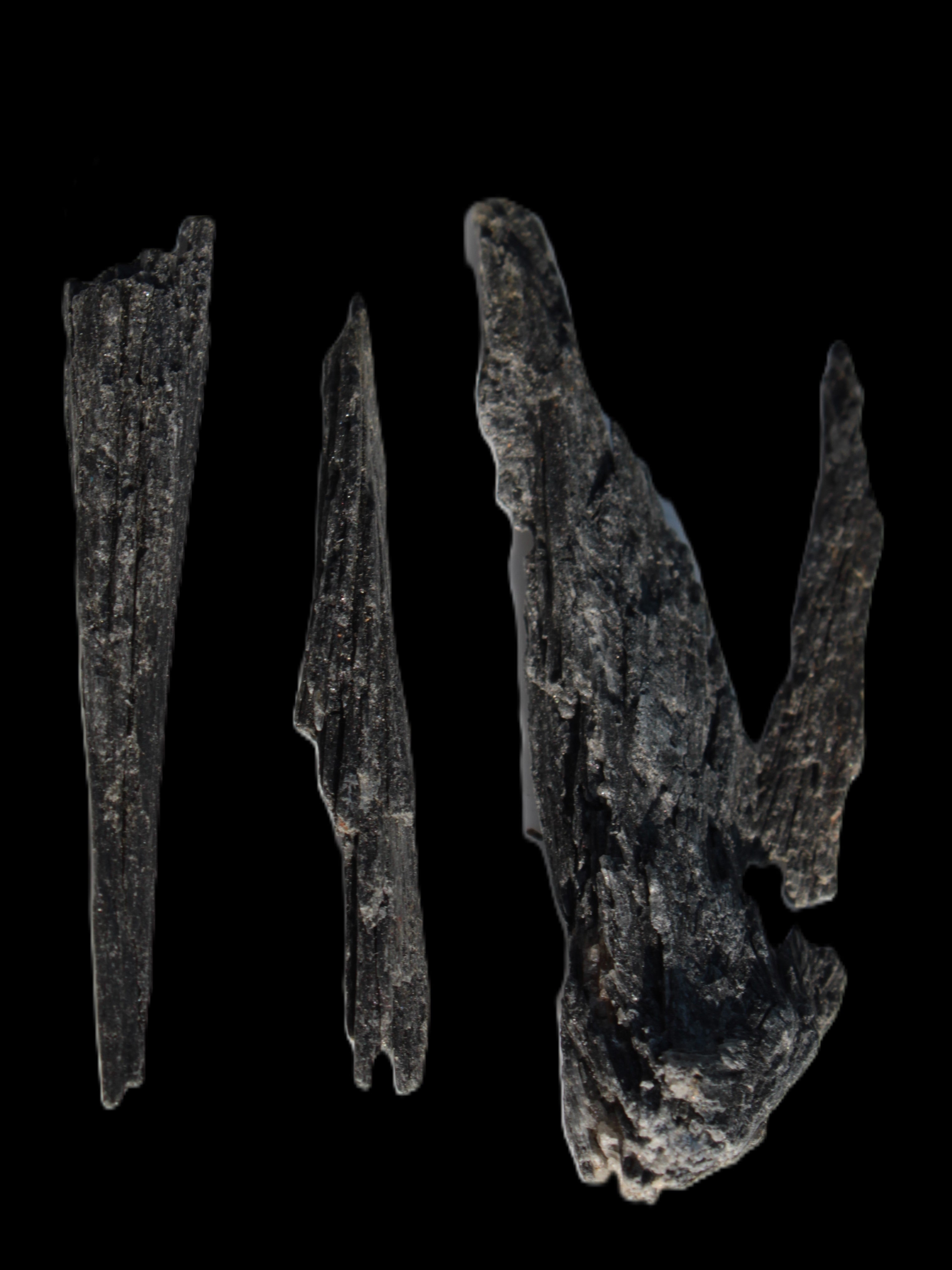 Black Tourmaline 3/4 feather crystal 18-19g Rocks and Things