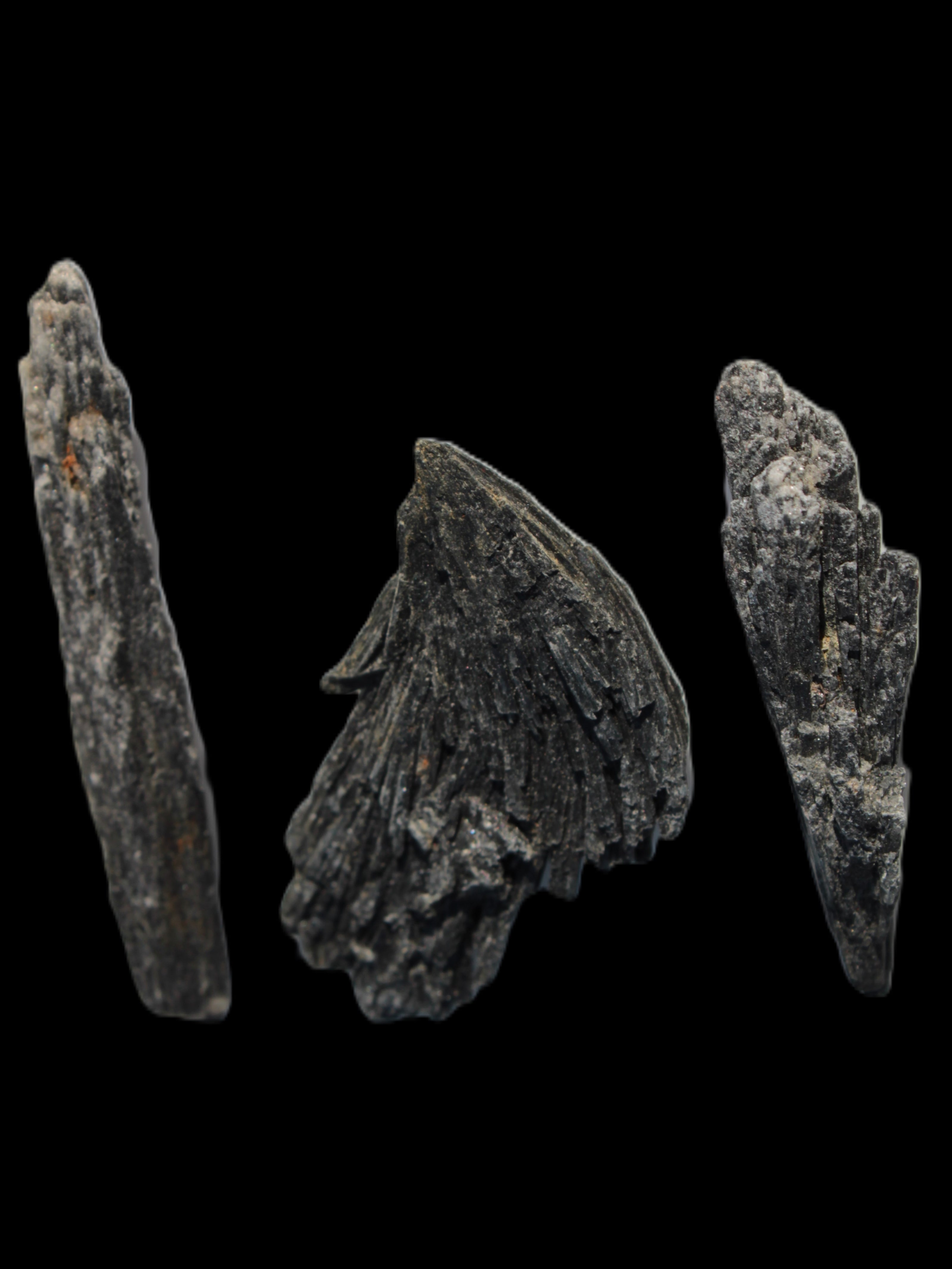 Black Tourmaline 3/4 feather crystal 18-19g Rocks and Things