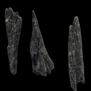 Black Tourmaline 3/4 feather crystal 18-19g Rocks and Things