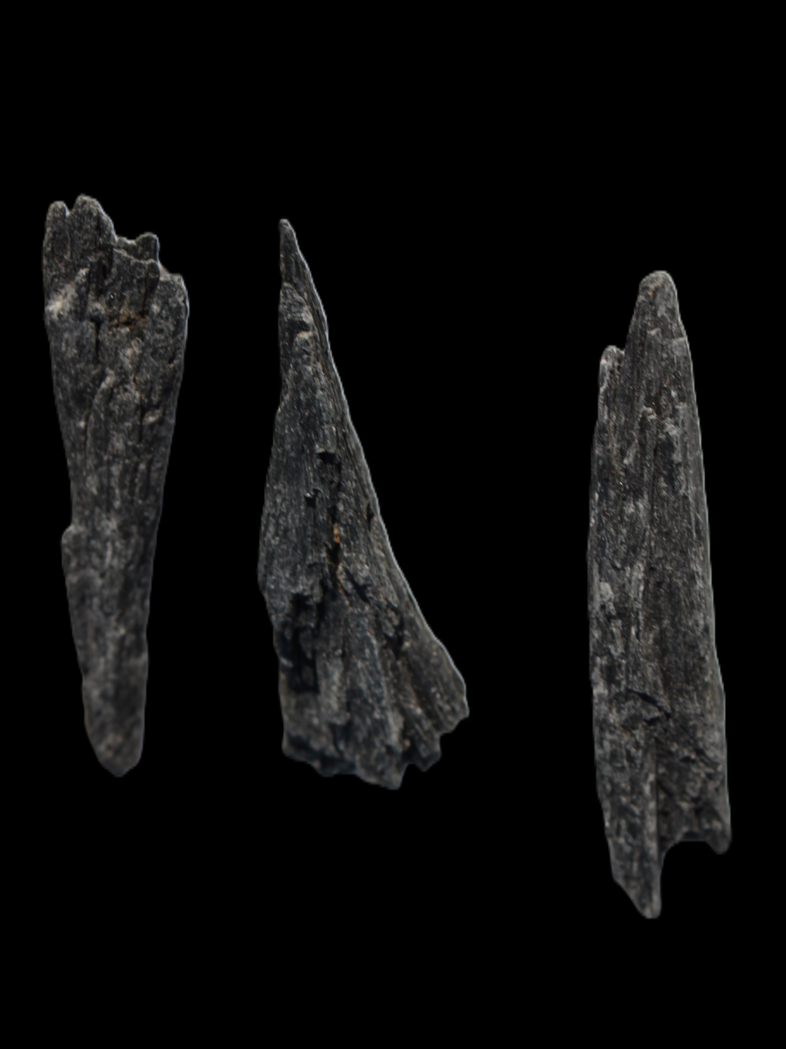 Black Tourmaline 3/4 feather crystal 18-19g Rocks and Things