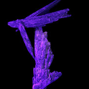 Black Tourmaline 3/4 feather crystal 18-19g Rocks and Things