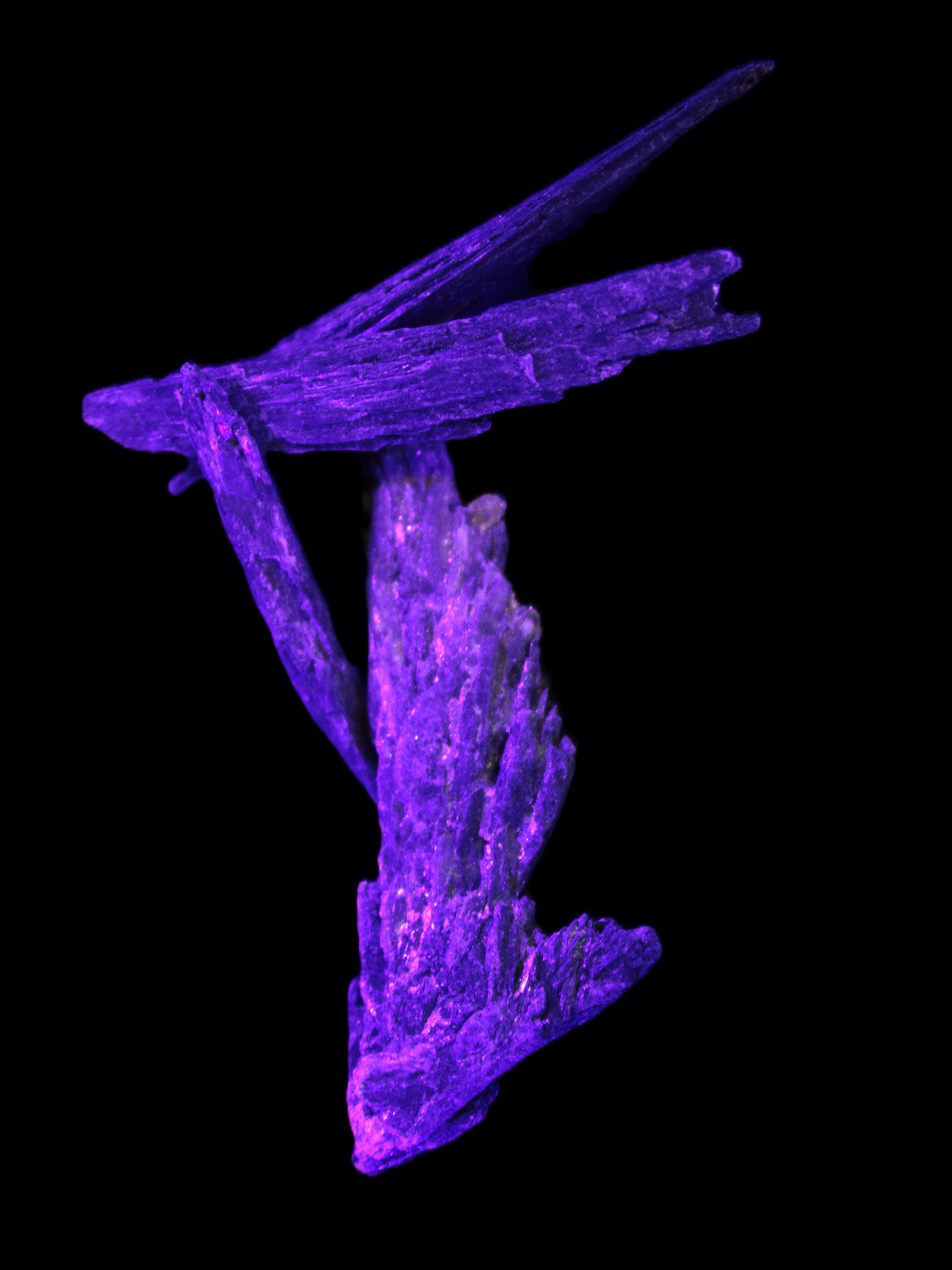 Black Tourmaline 3/4 feather crystal 18-19g Rocks and Things