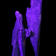 Black Tourmaline 3/4 feather crystal 18-19g Rocks and Things