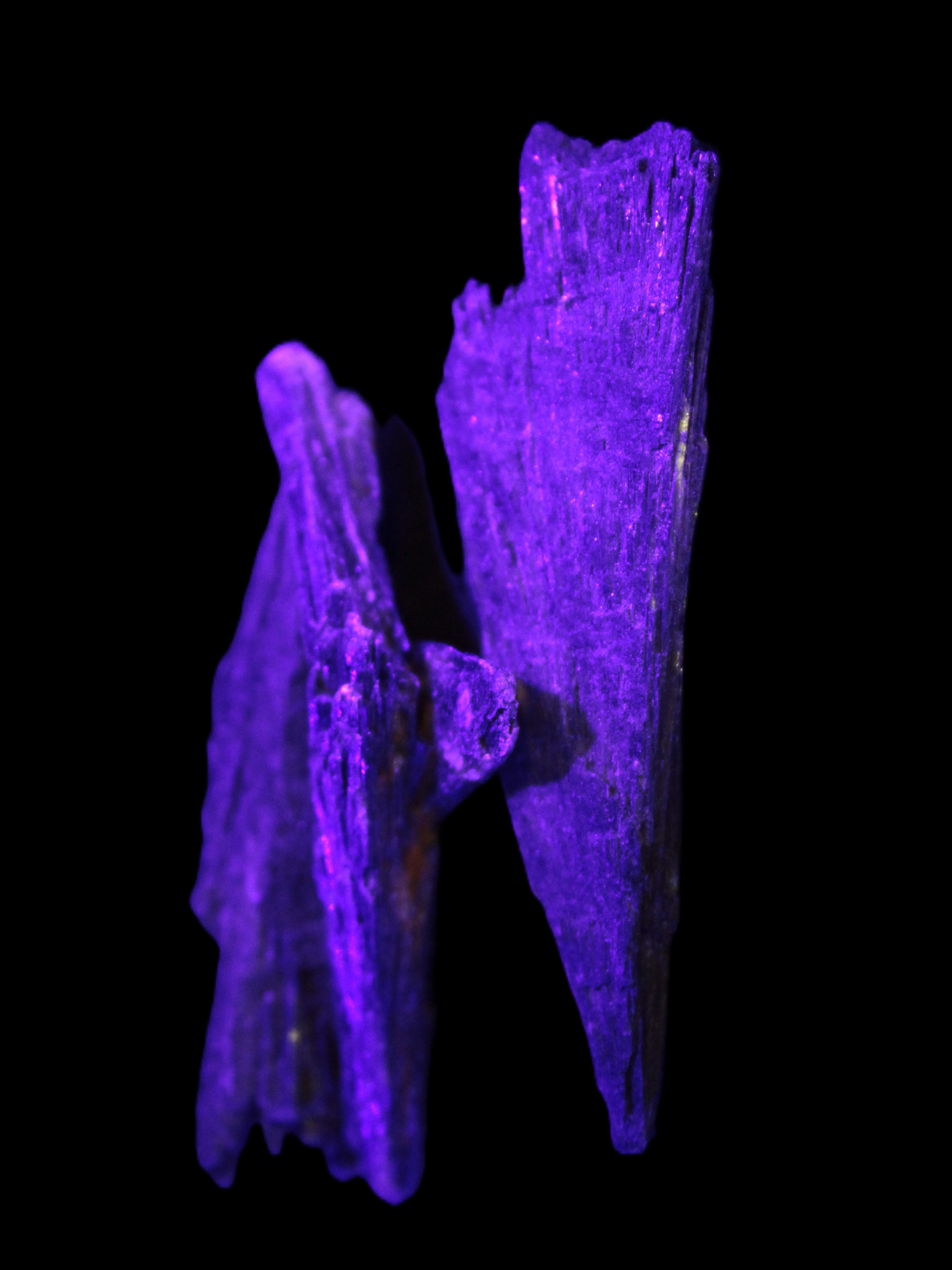 Black Tourmaline 3/4 feather crystal 18-19g Rocks and Things