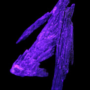 Black Tourmaline 3/4 feather crystal 18-19g Rocks and Things