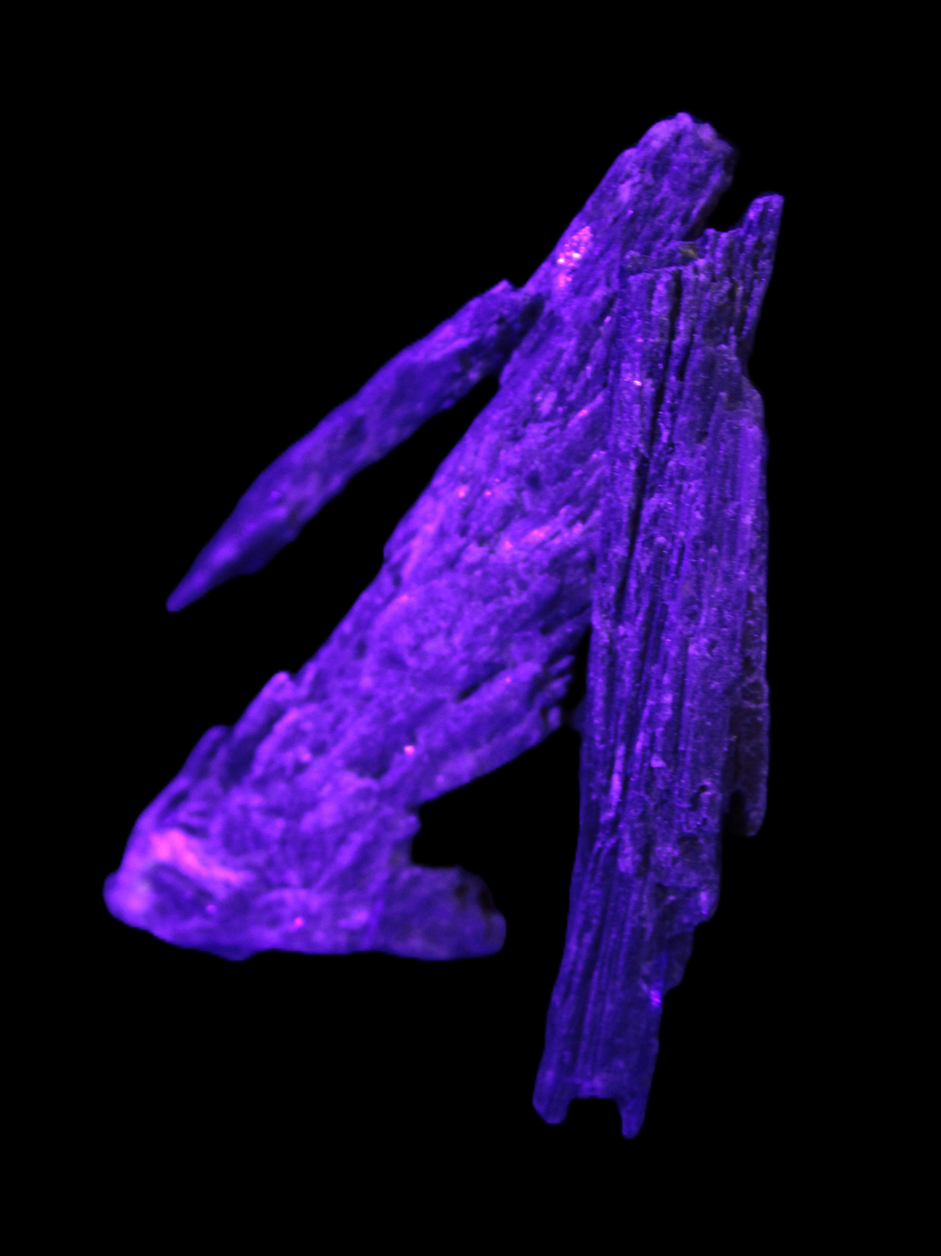 Black Tourmaline 3/4 feather crystal 18-19g Rocks and Things