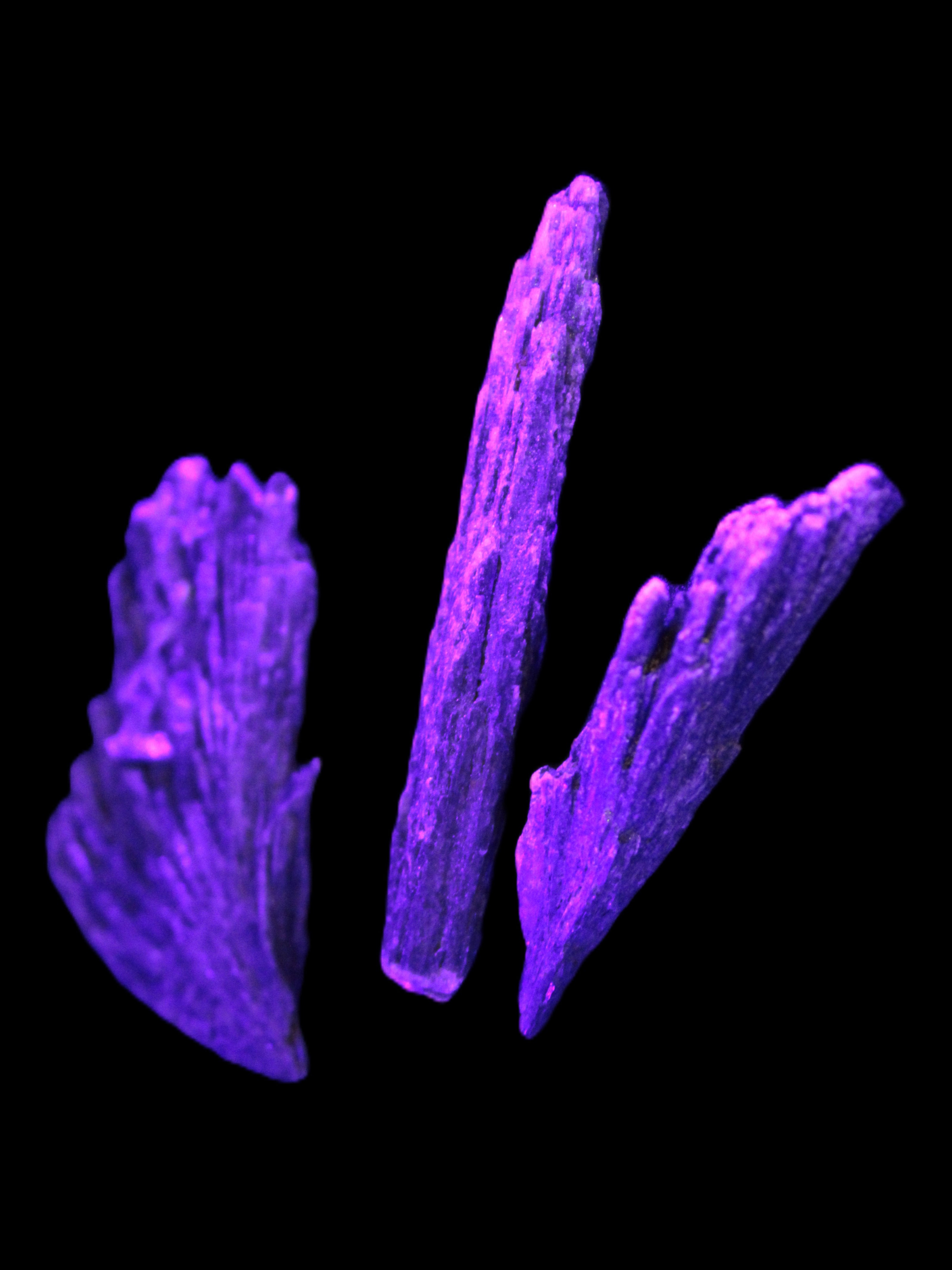 Black Tourmaline 3/4 feather crystal 18-19g Rocks and Things