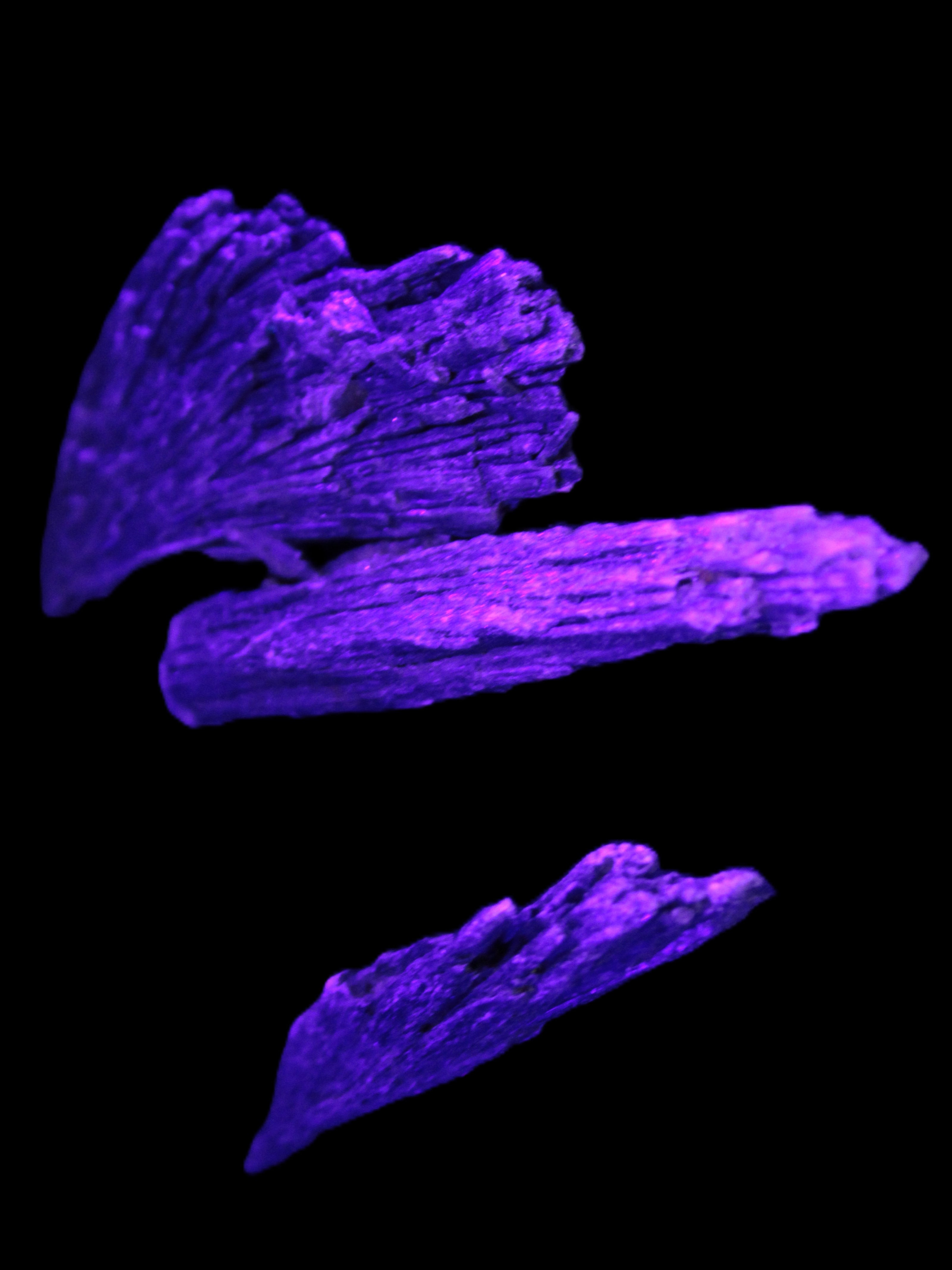 Black Tourmaline 3/4 feather crystal 18-19g Rocks and Things