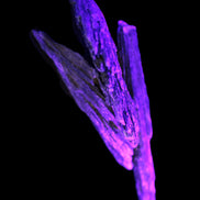 Black Tourmaline 3/4 feather crystal 18-19g Rocks and Things