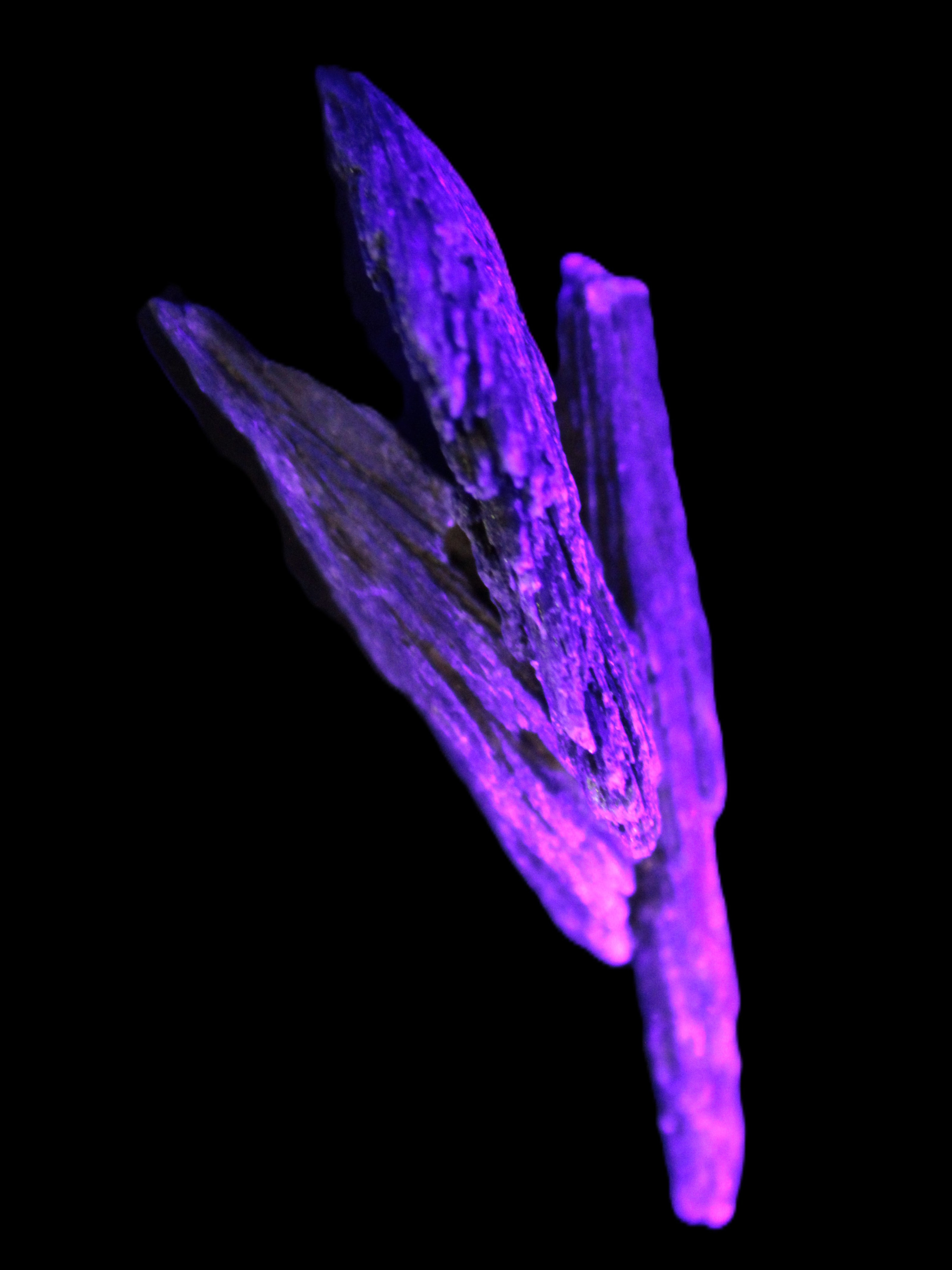 Black Tourmaline 3/4 feather crystal 18-19g Rocks and Things