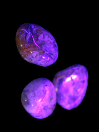 Crazy Lace Marquis Agate 2/3 polished stones from Mexico 14g in UV light