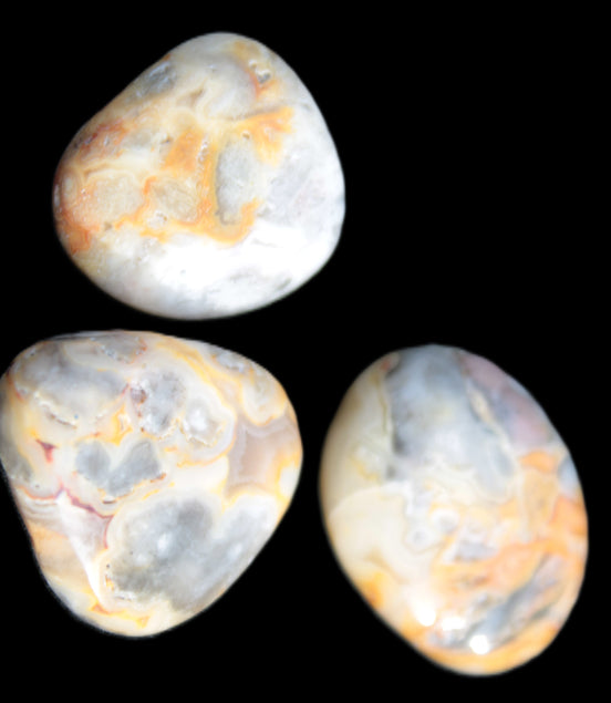 Crazy Lace Marquis Agate 2/3 polished stones from Mexico 14g Rocks and Things