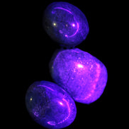 Three Blue Apatite polished stones 20-22g in UV light