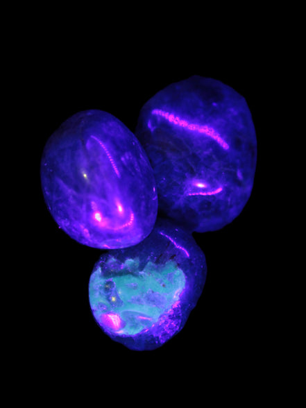 Three Blue Apatite polished stones 20-22g in UV light